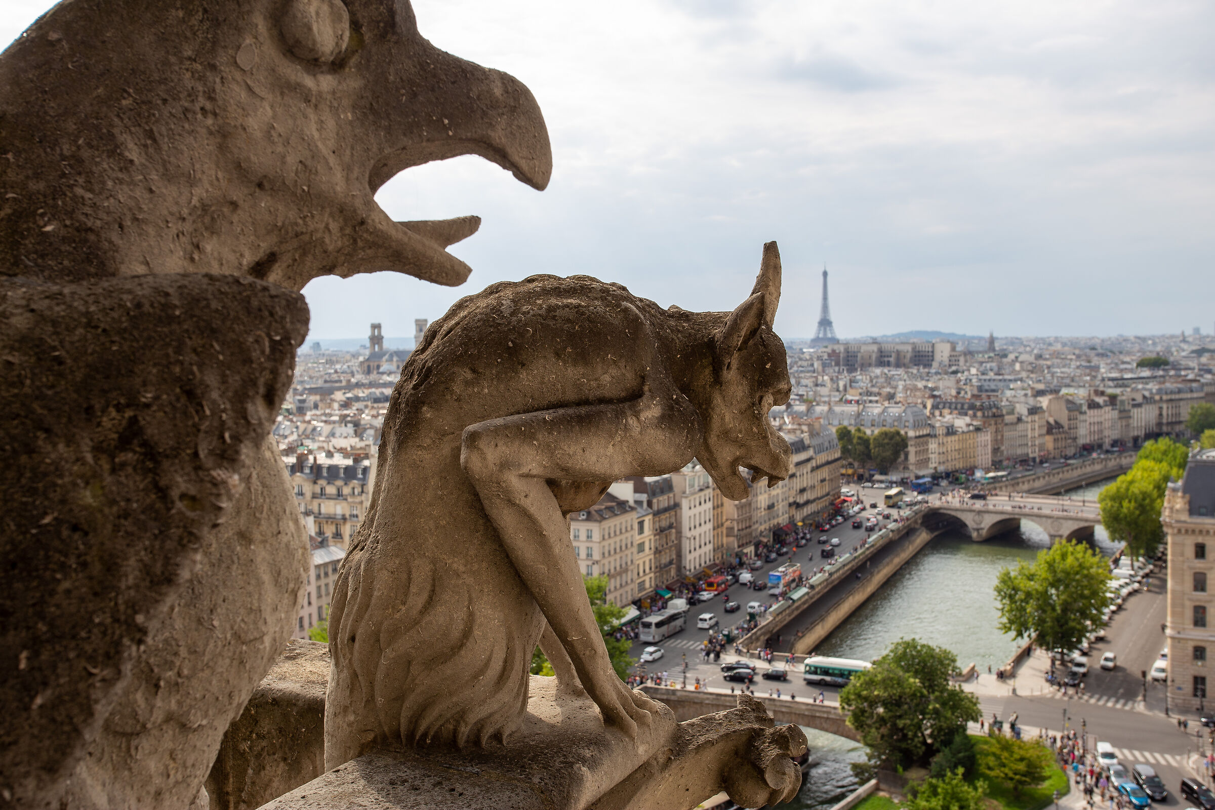 Gargoyles Notre Dame