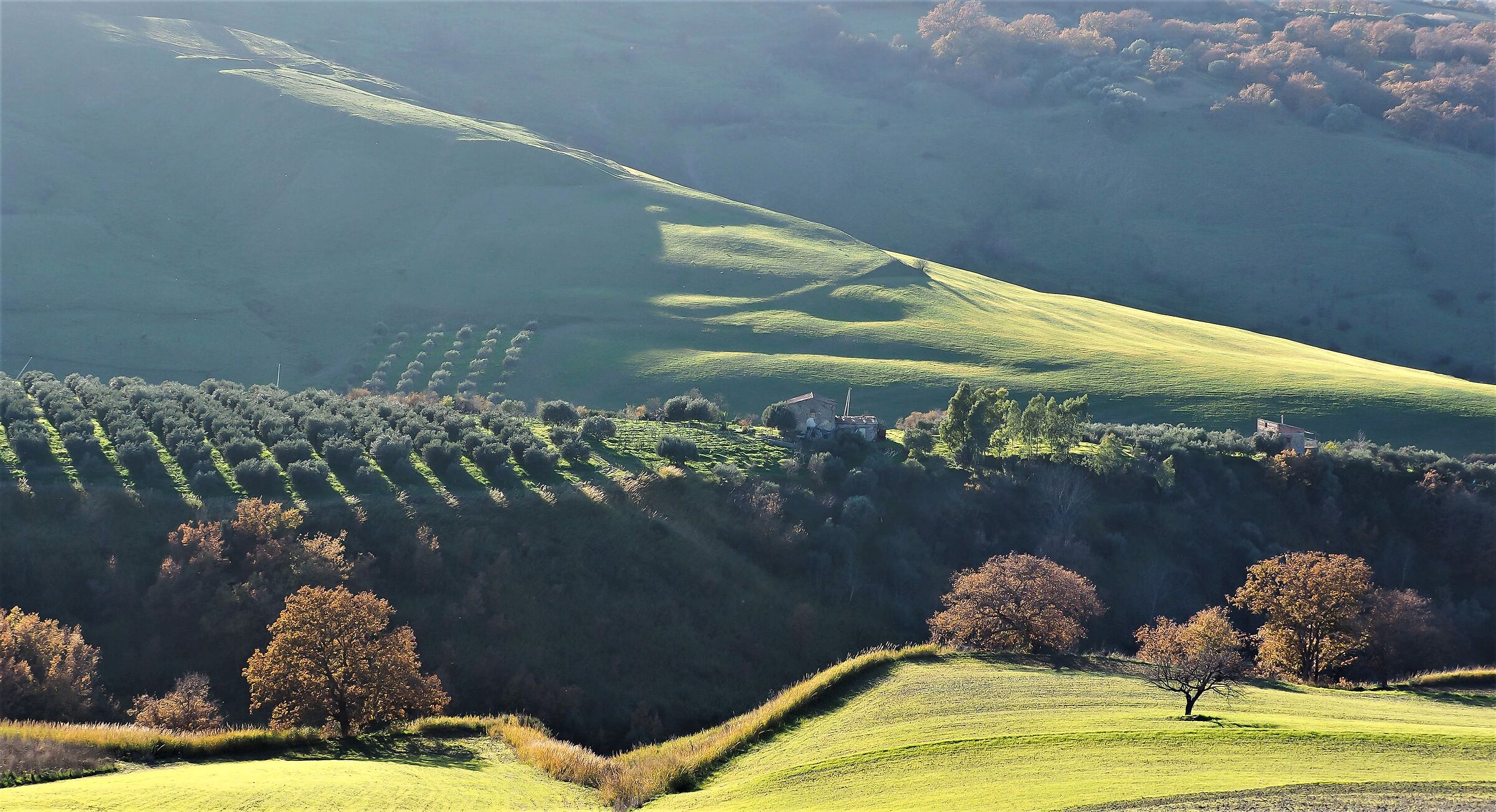 il verde della natura