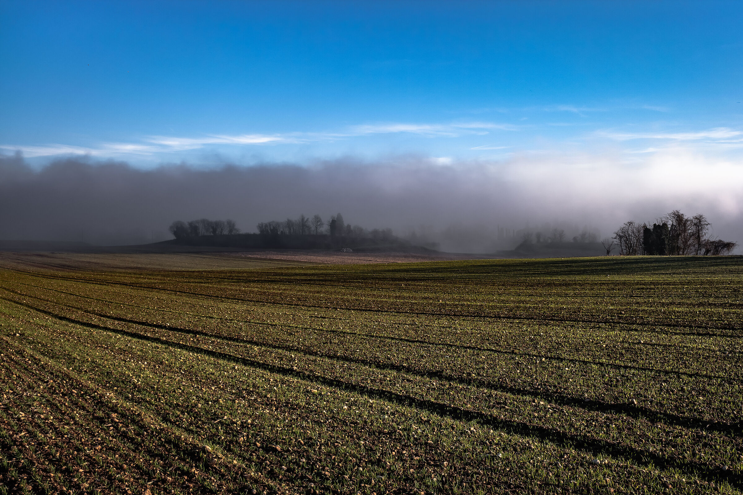 Here comes the fog, slow but inexorable