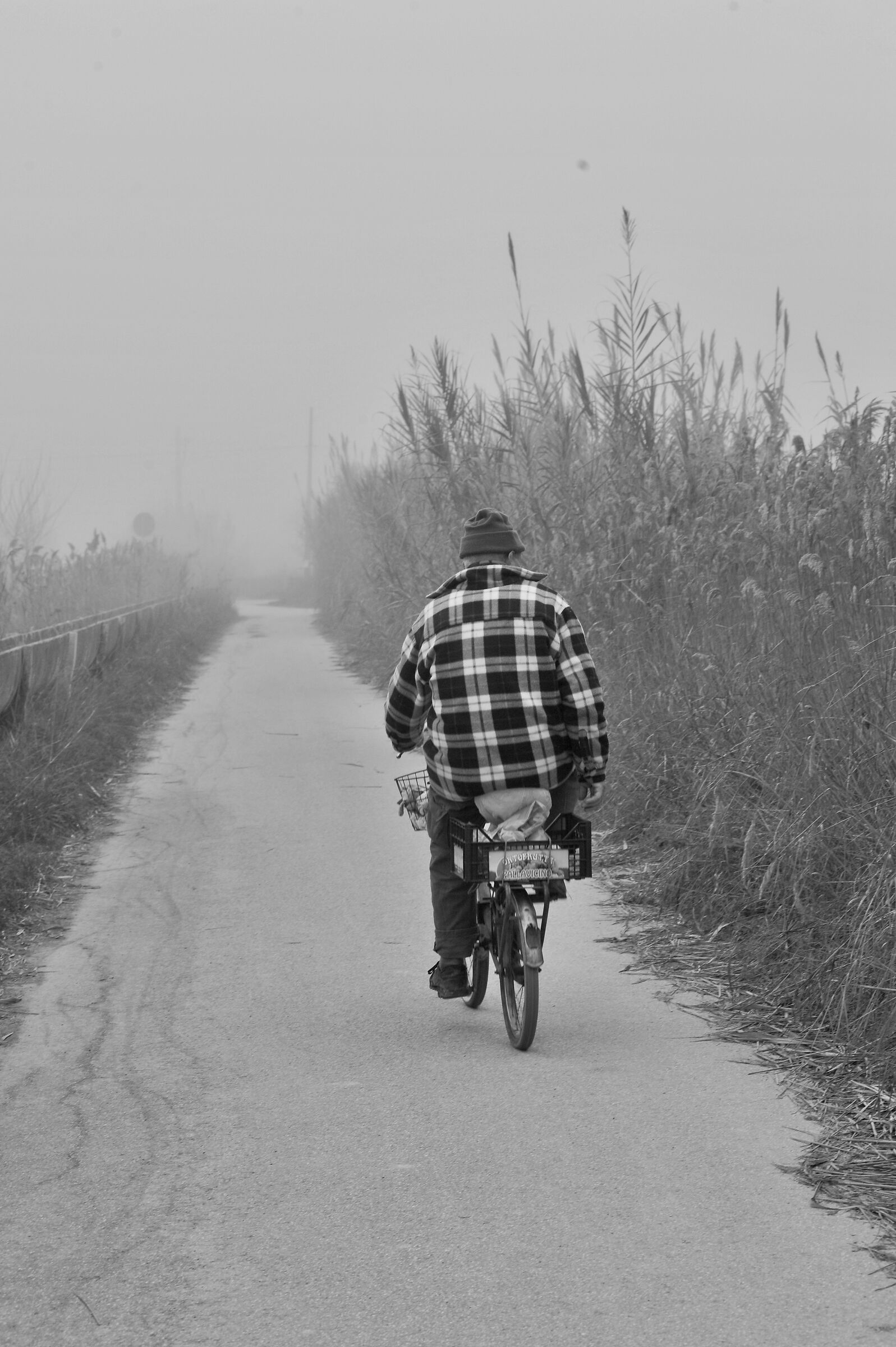 Right inside the bones