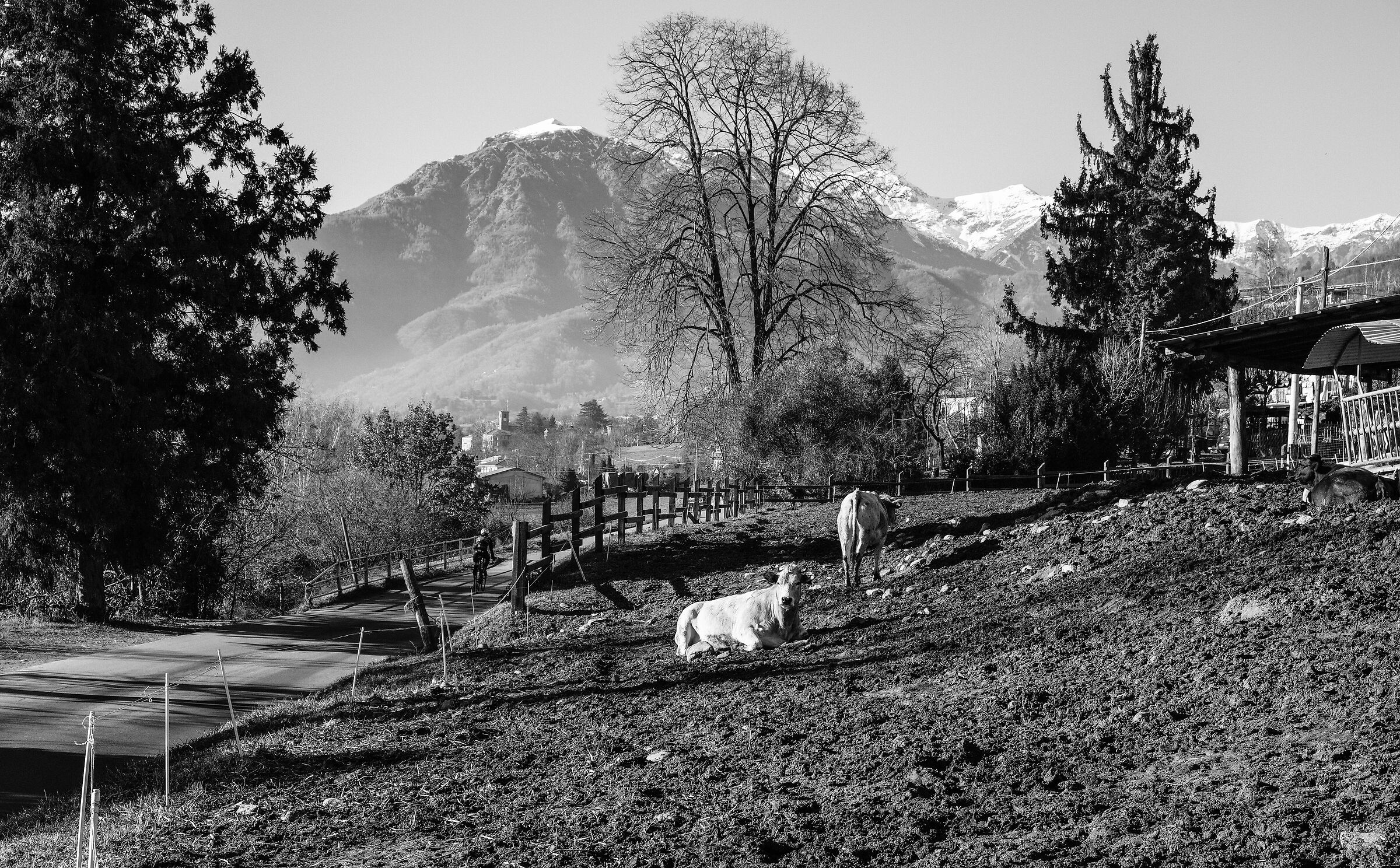 Val Pellice