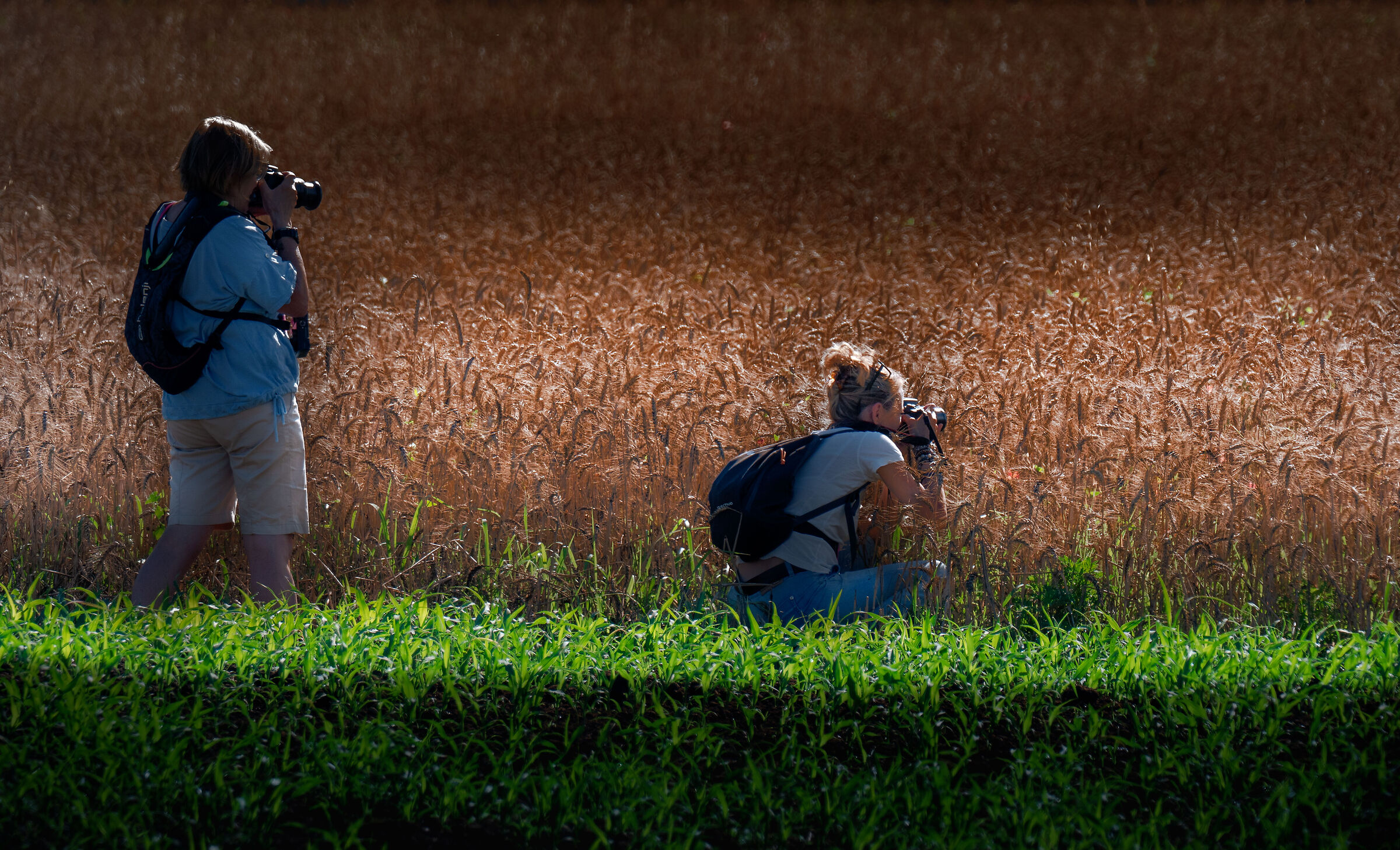 Non è la macchina che fa' il fotografo.