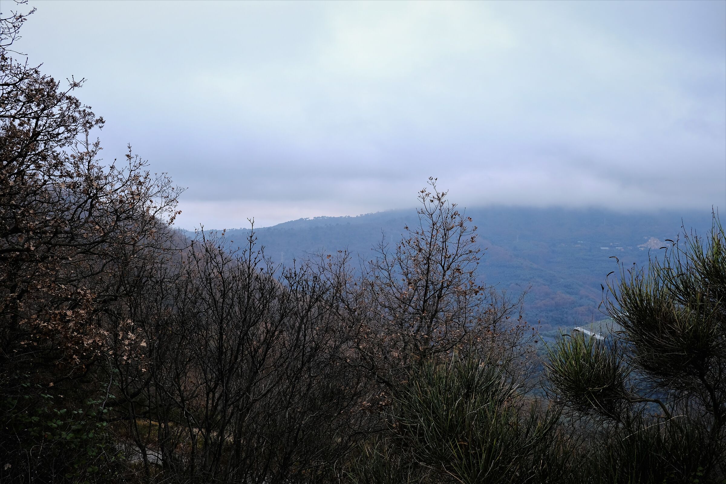 Nebbiolina to Santa Brigida