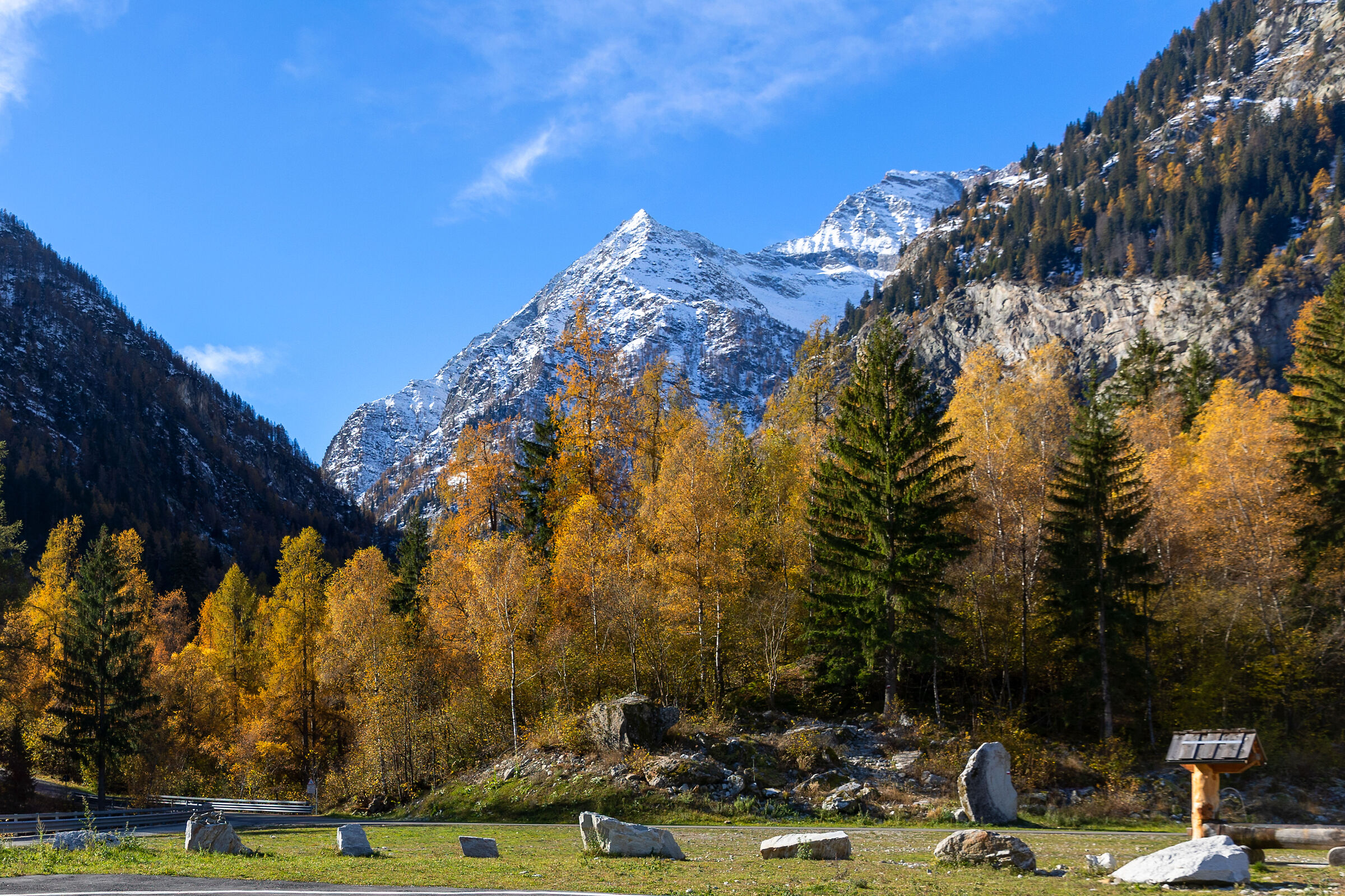 giallo verde bianco blu