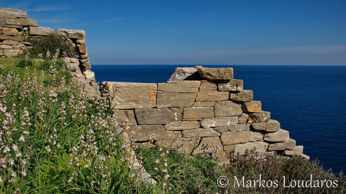 The Signs Of Our Ancestors