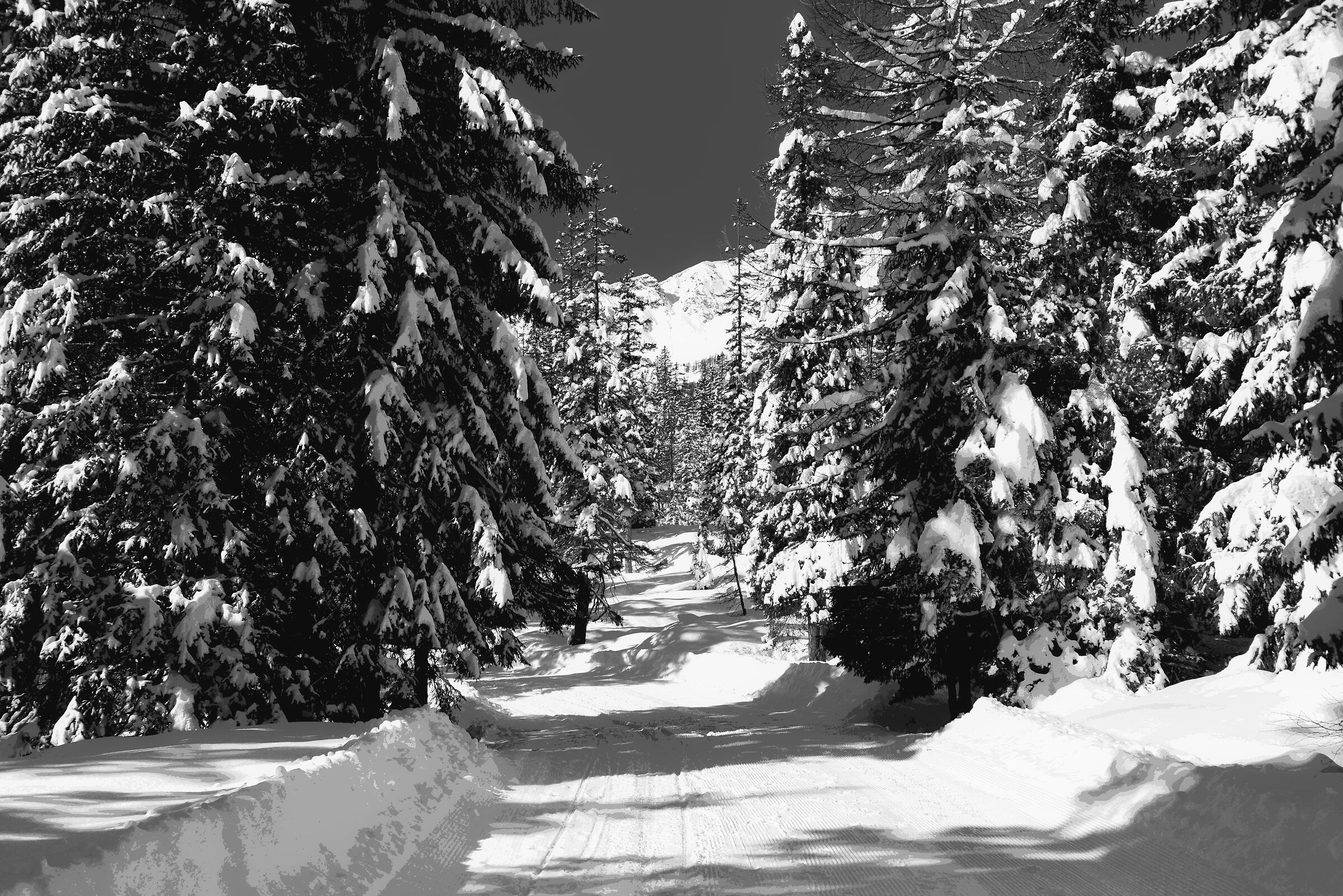 Paesaggio invernale 3