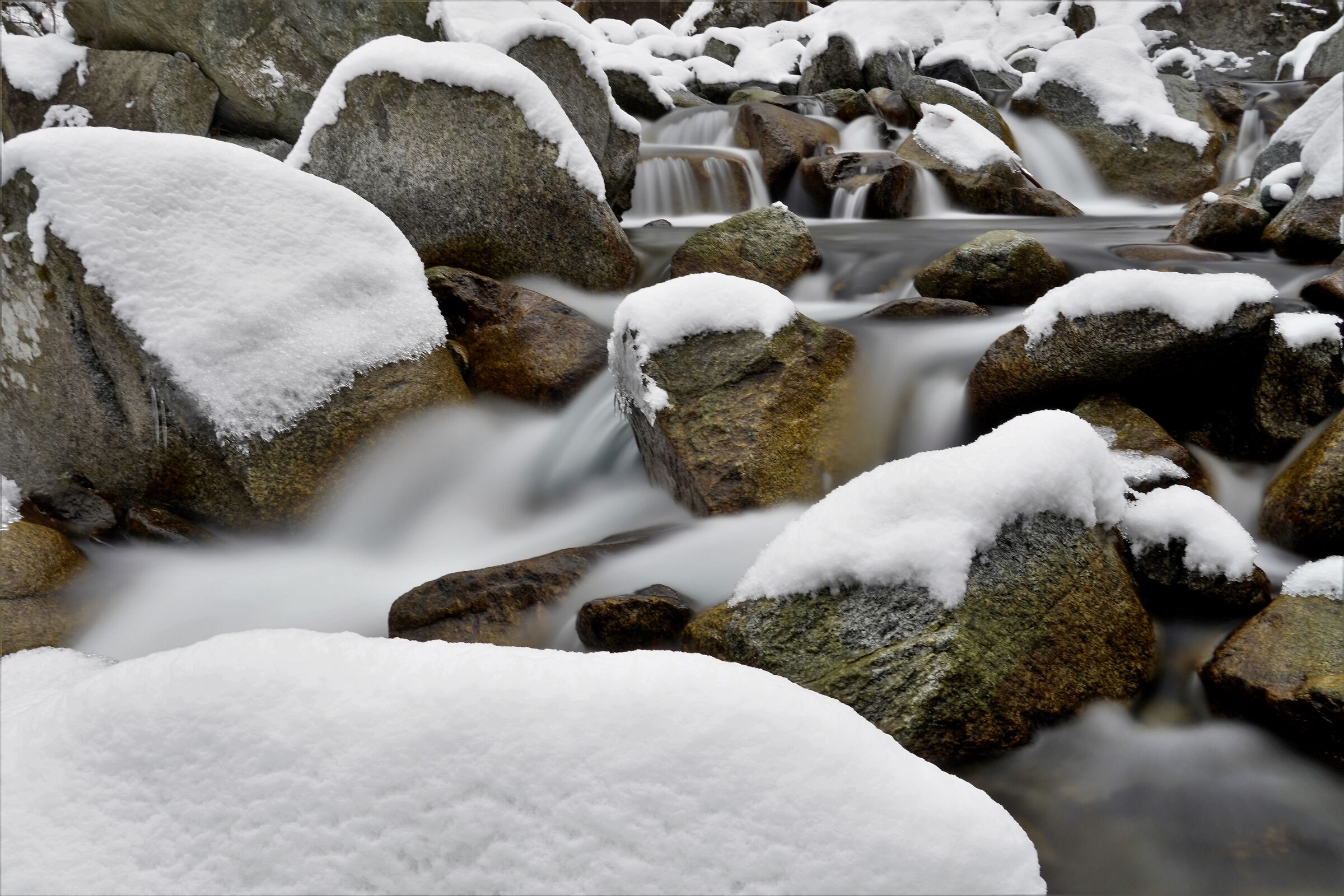 Neve