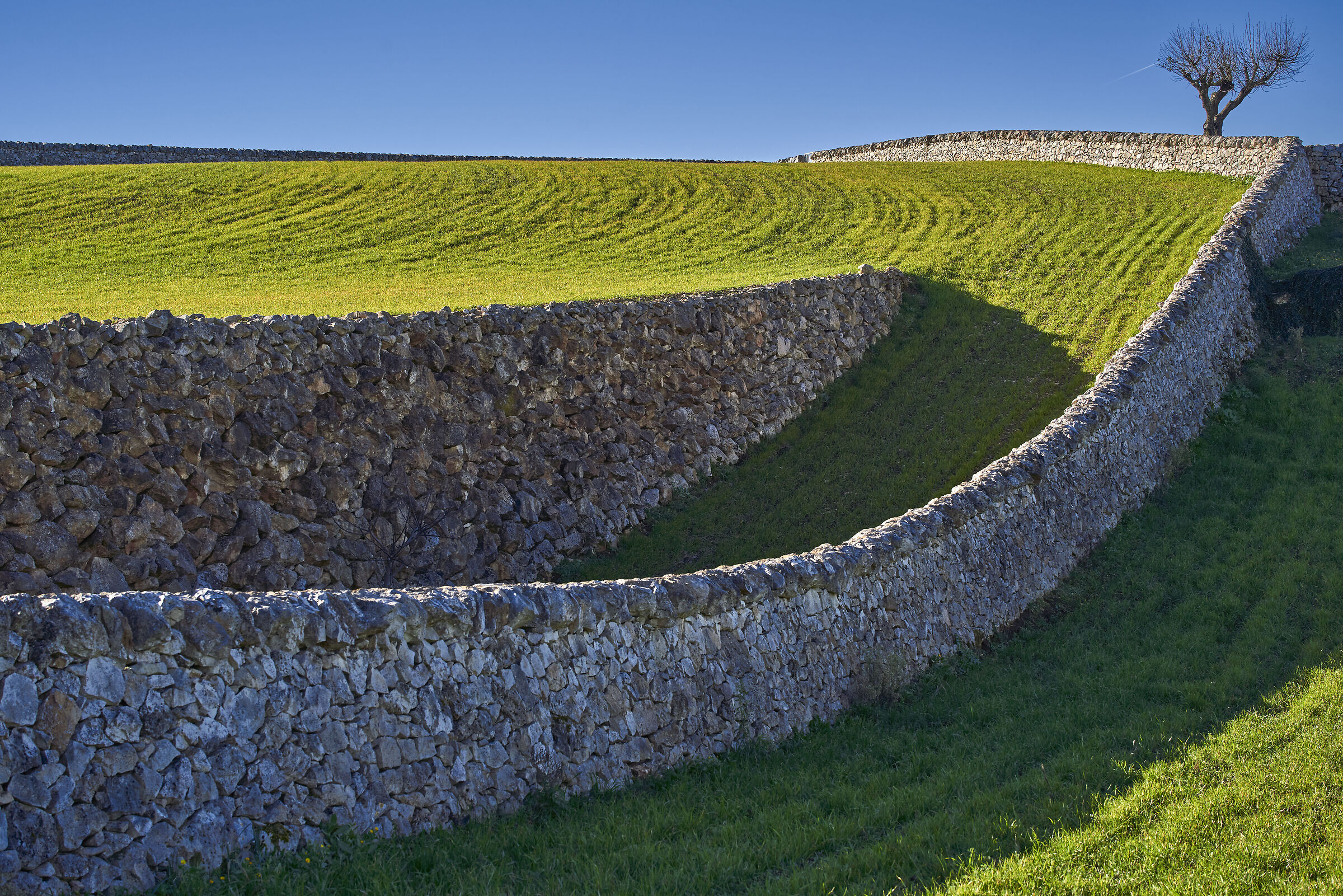 dry stone walls