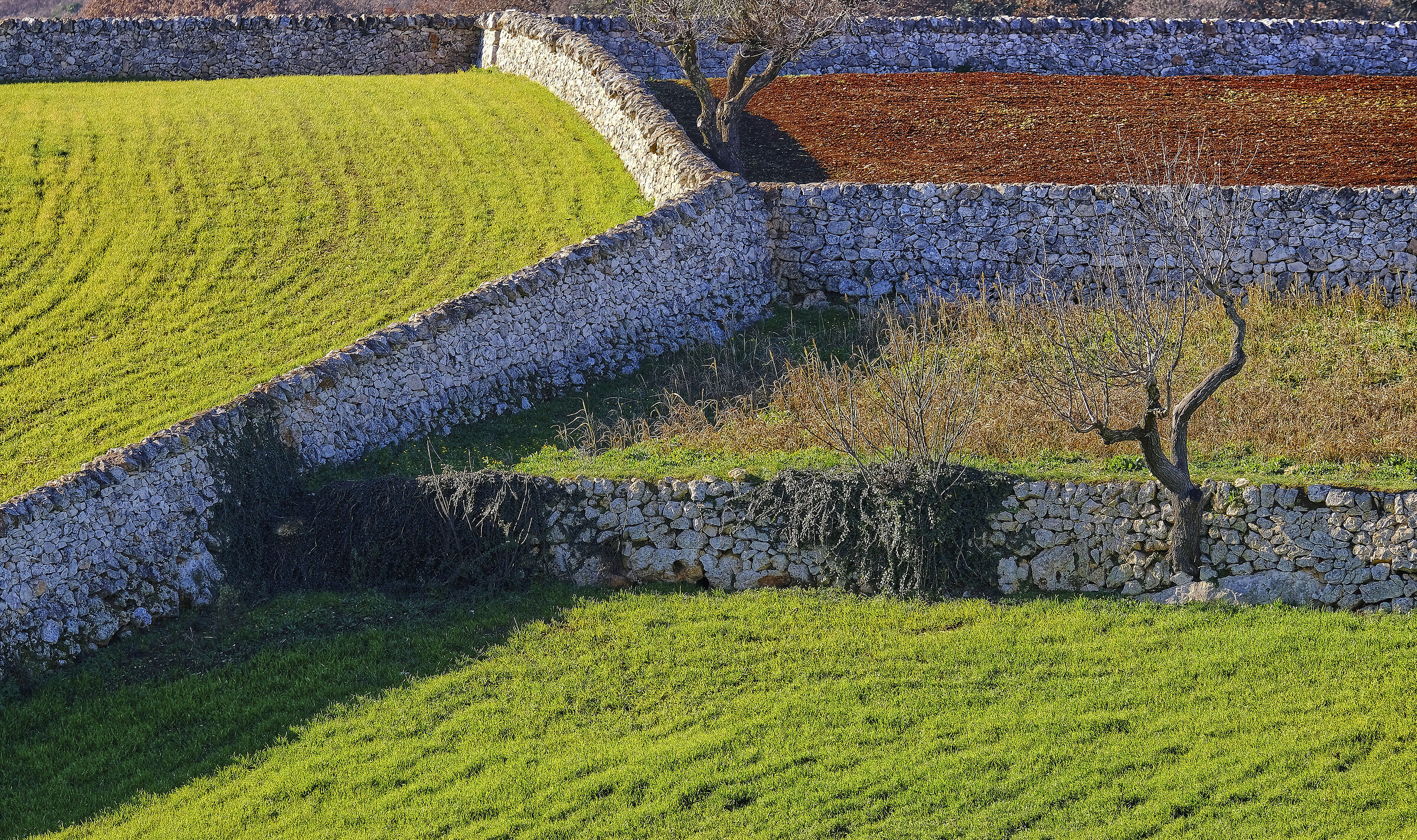 dry stone walls
