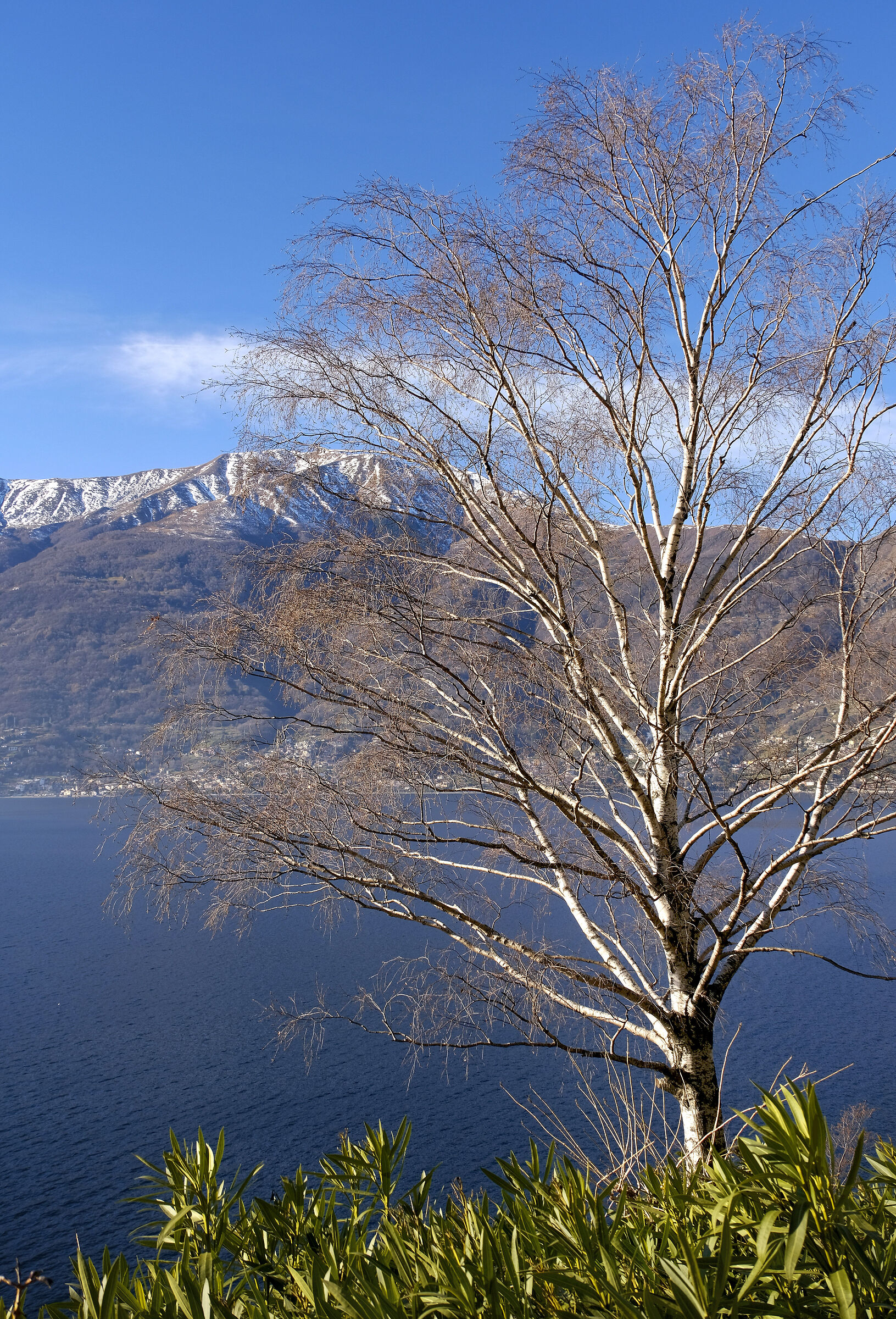 Lago di Como, Colico