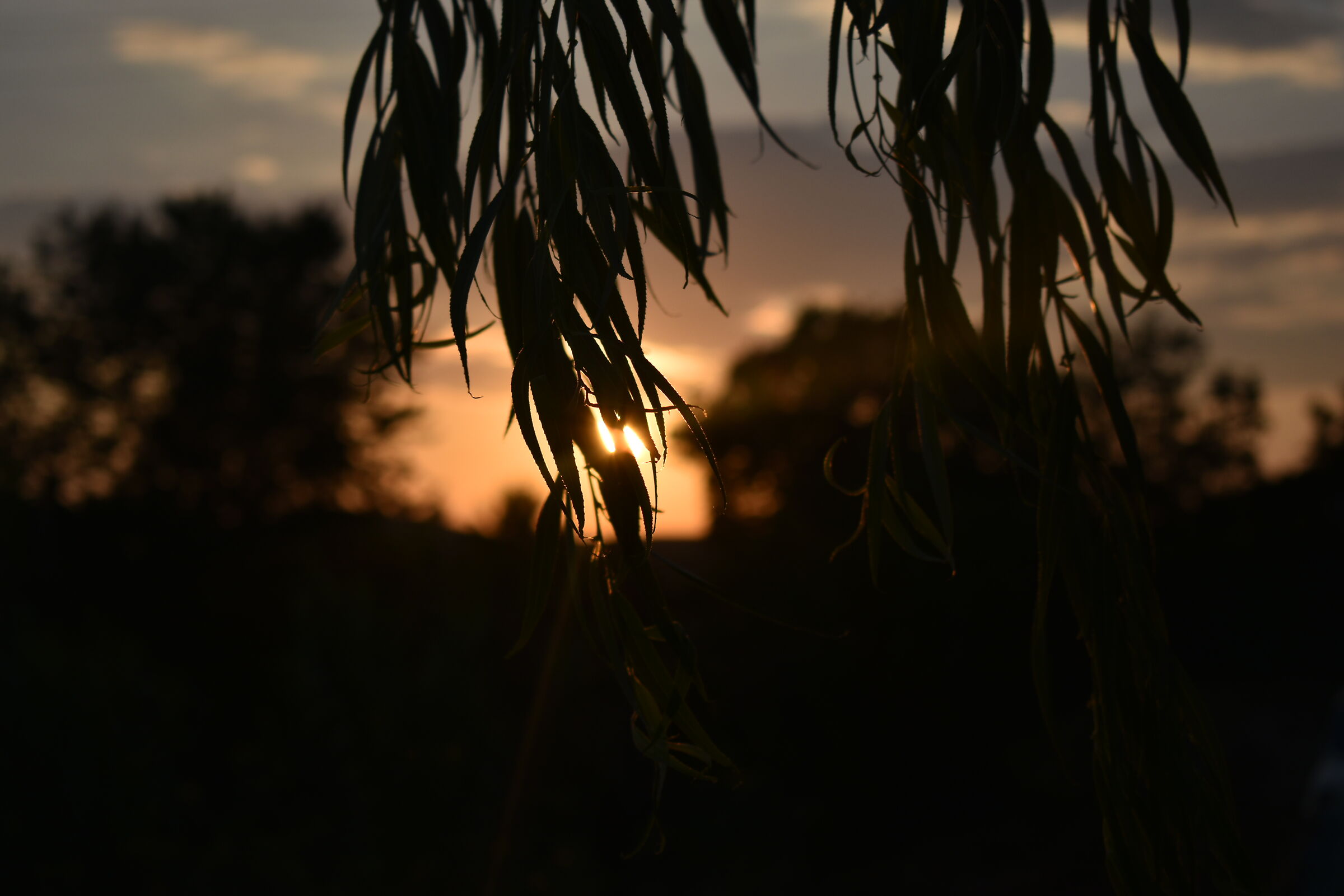 Sunset imprisoned in childhood memories