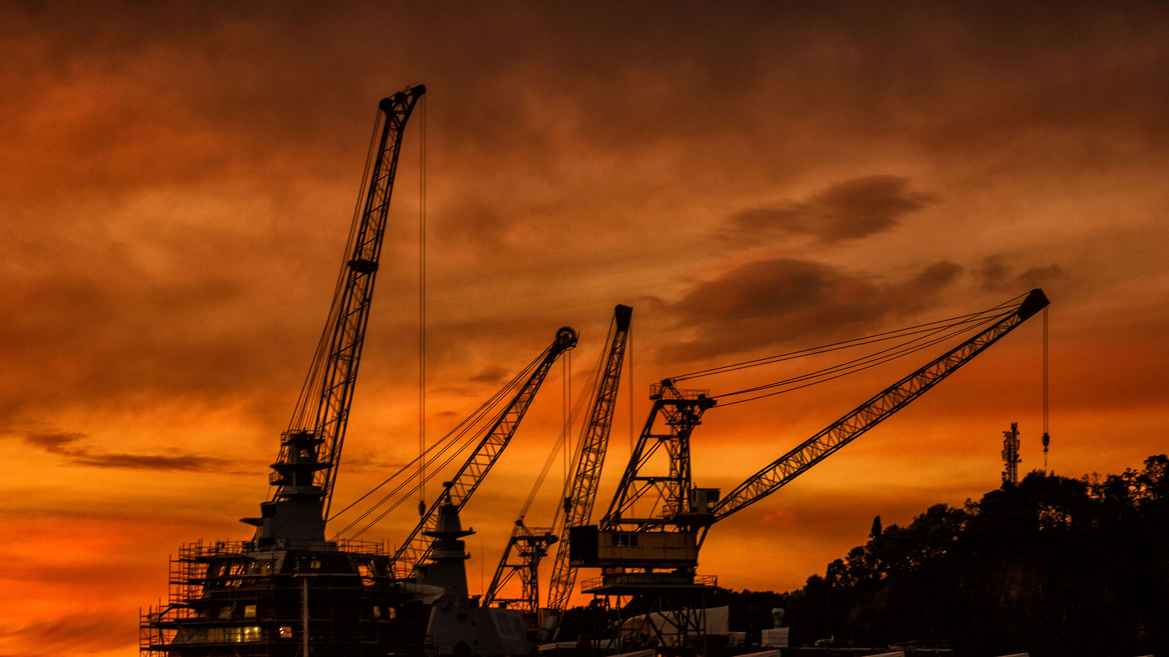 Sunset on cranes