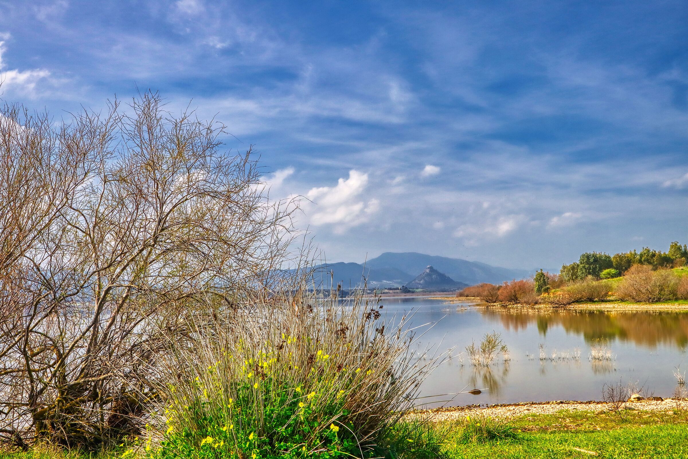 Lake Cixerri Sardinia
