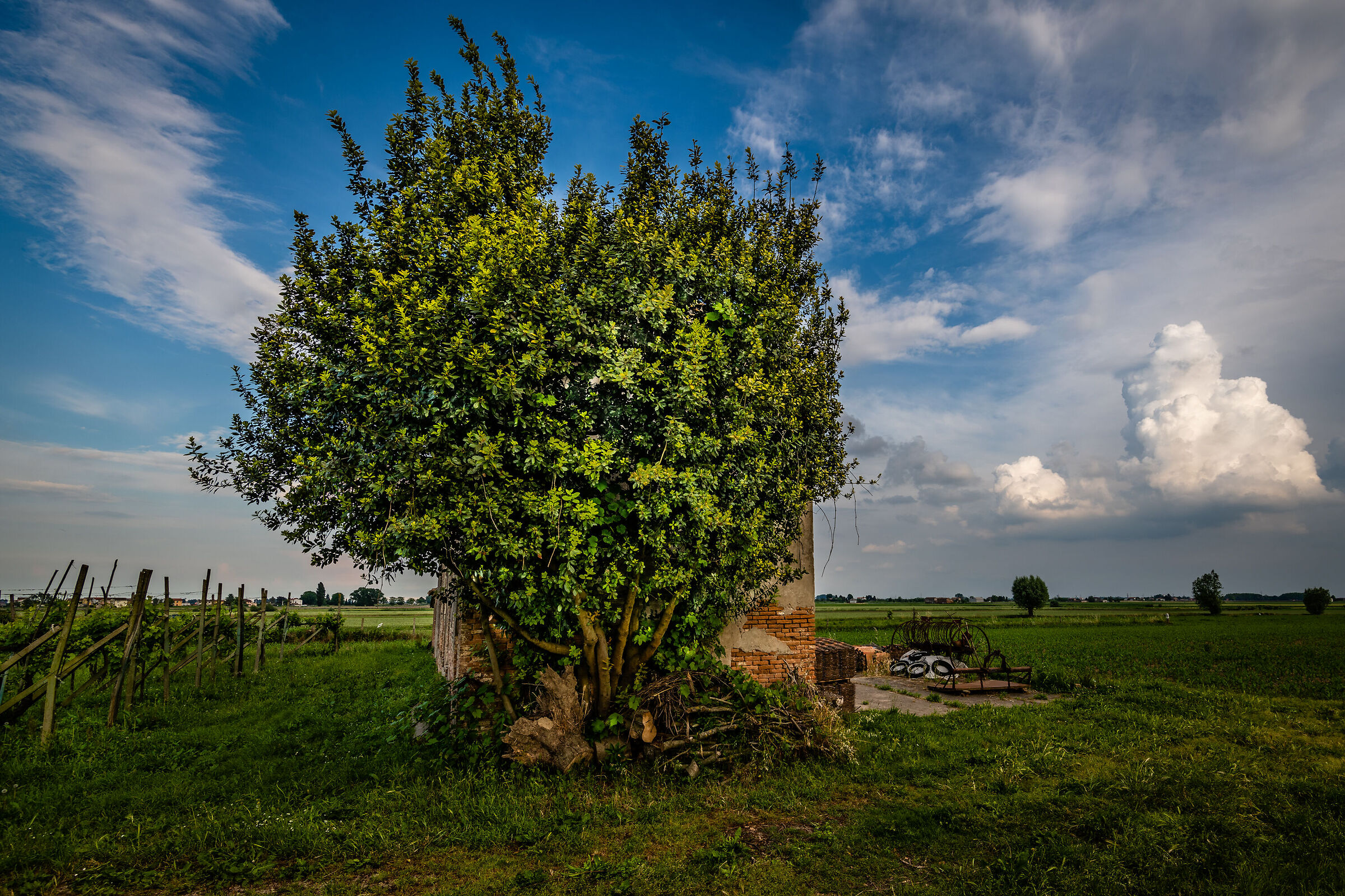 Sotto copertura