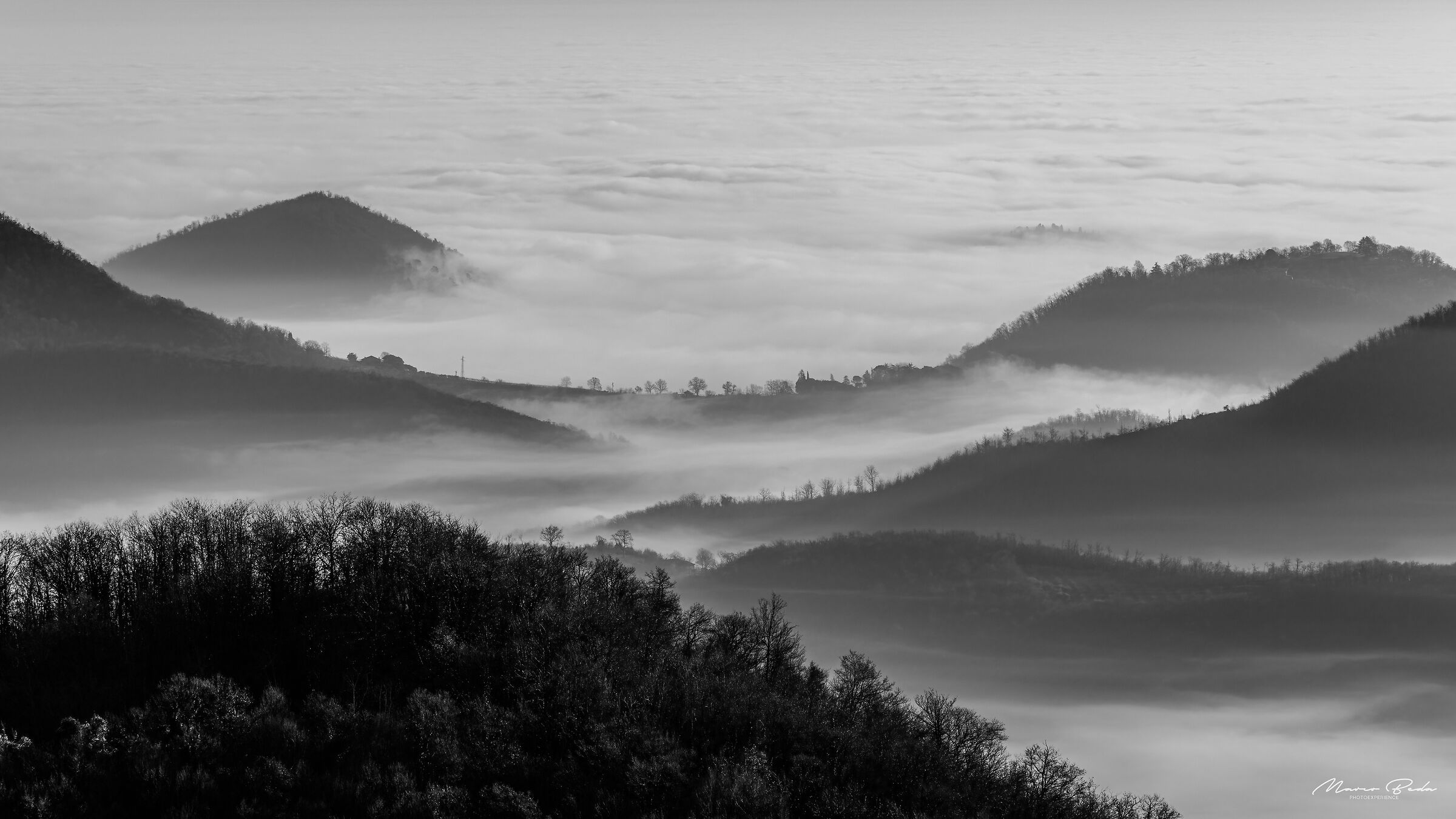 fog, colli euganei, 31/12 /21
