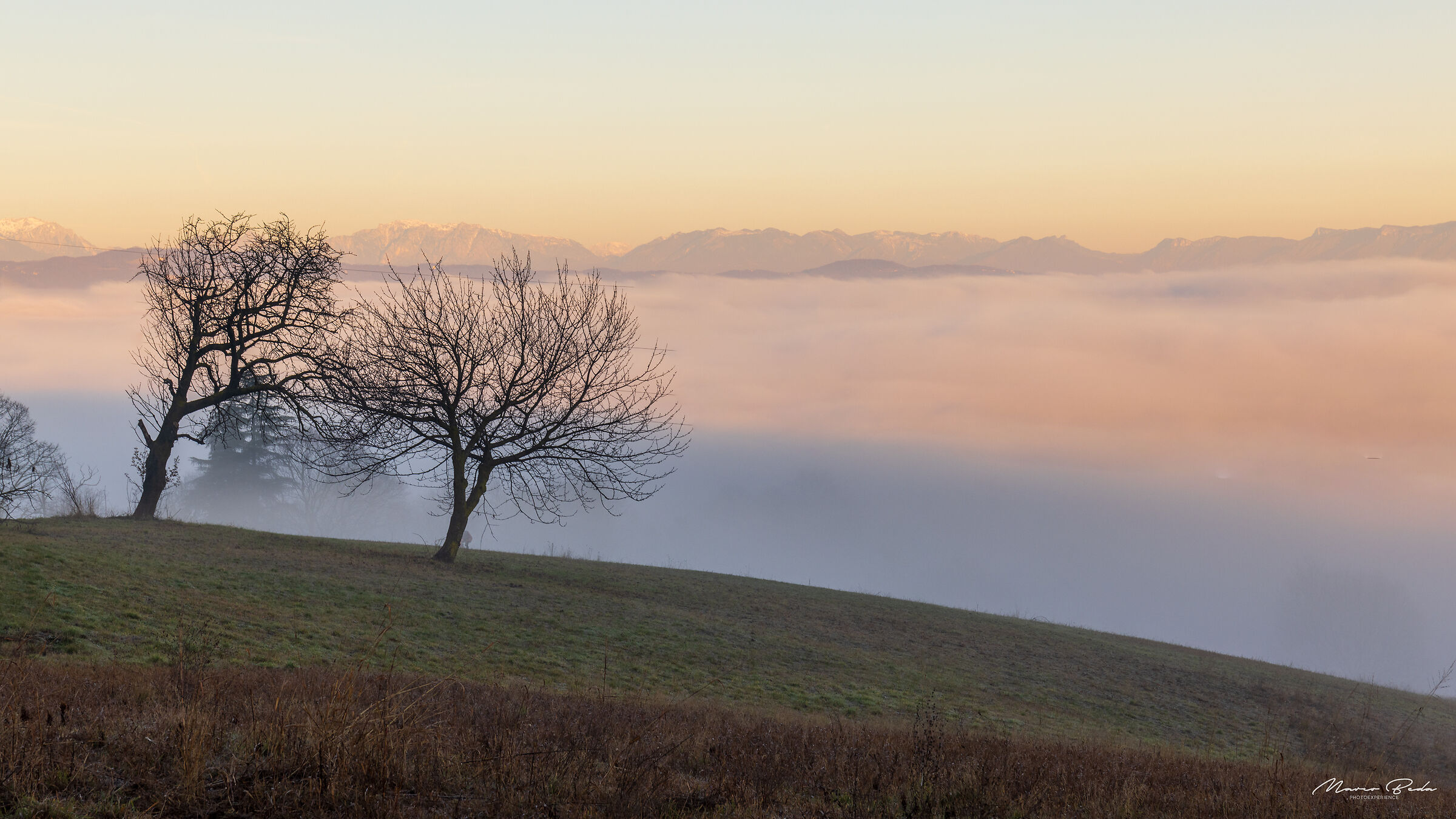 fog...