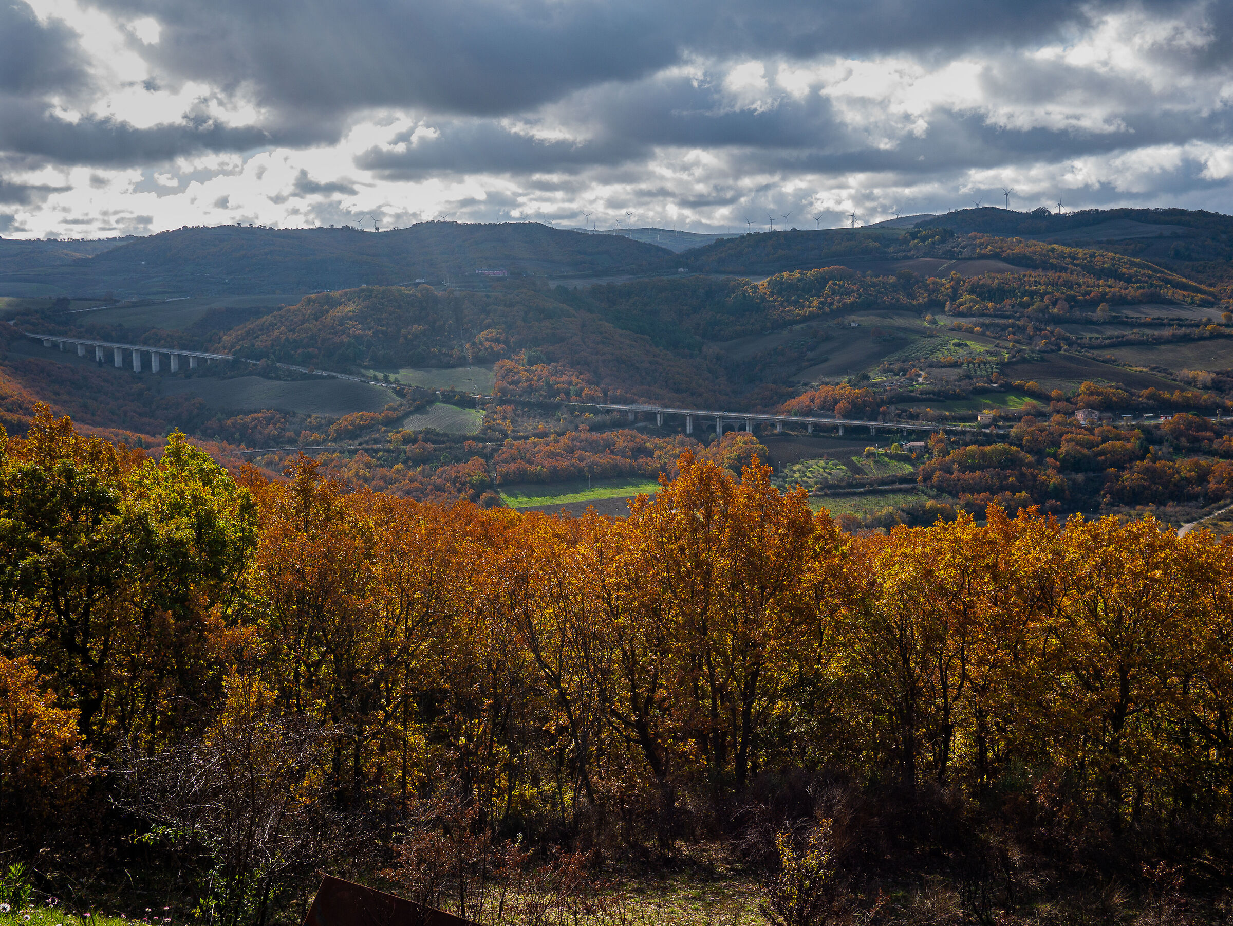 Untitled Photo