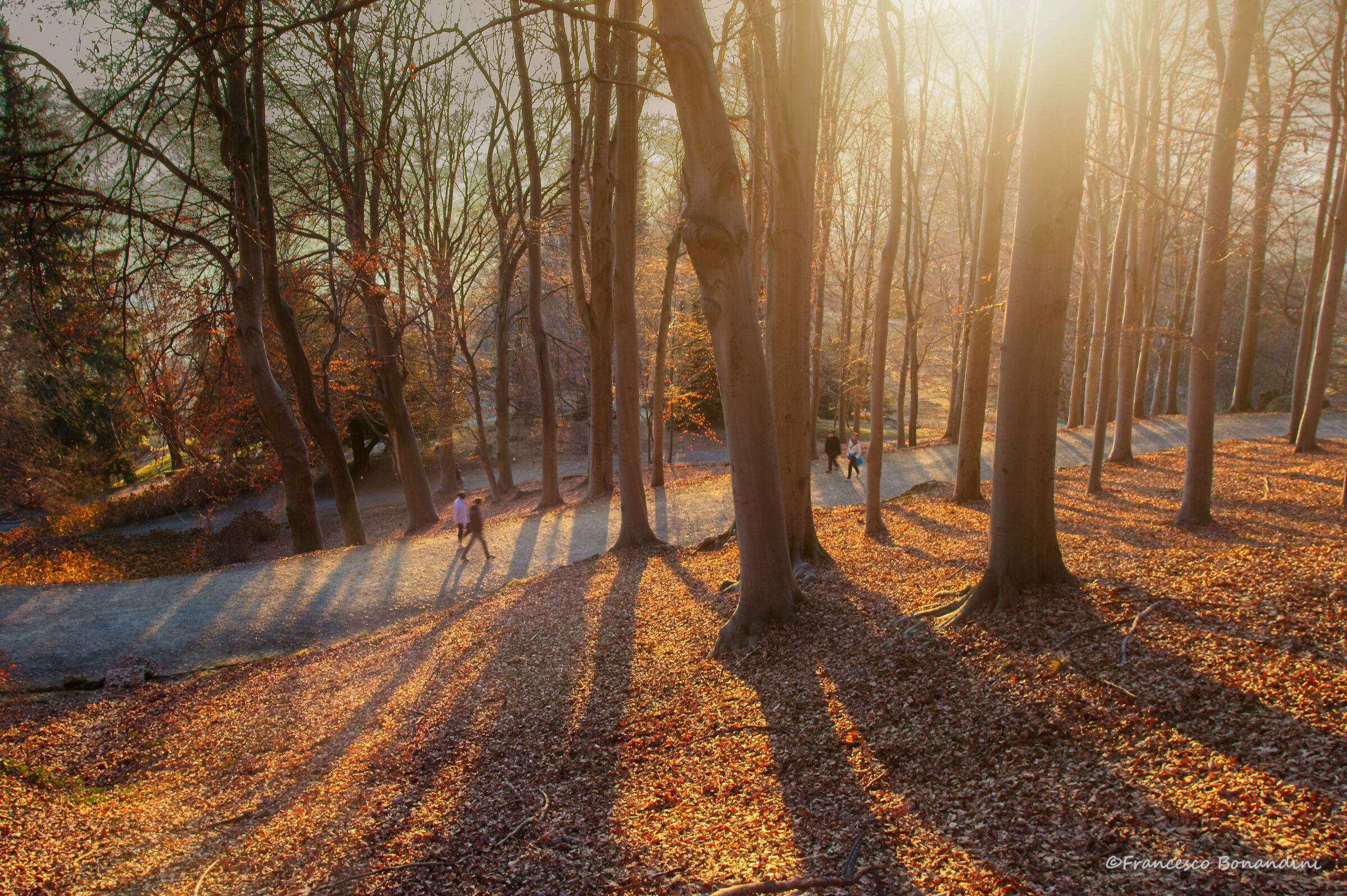 Due passi il primo dell'anno