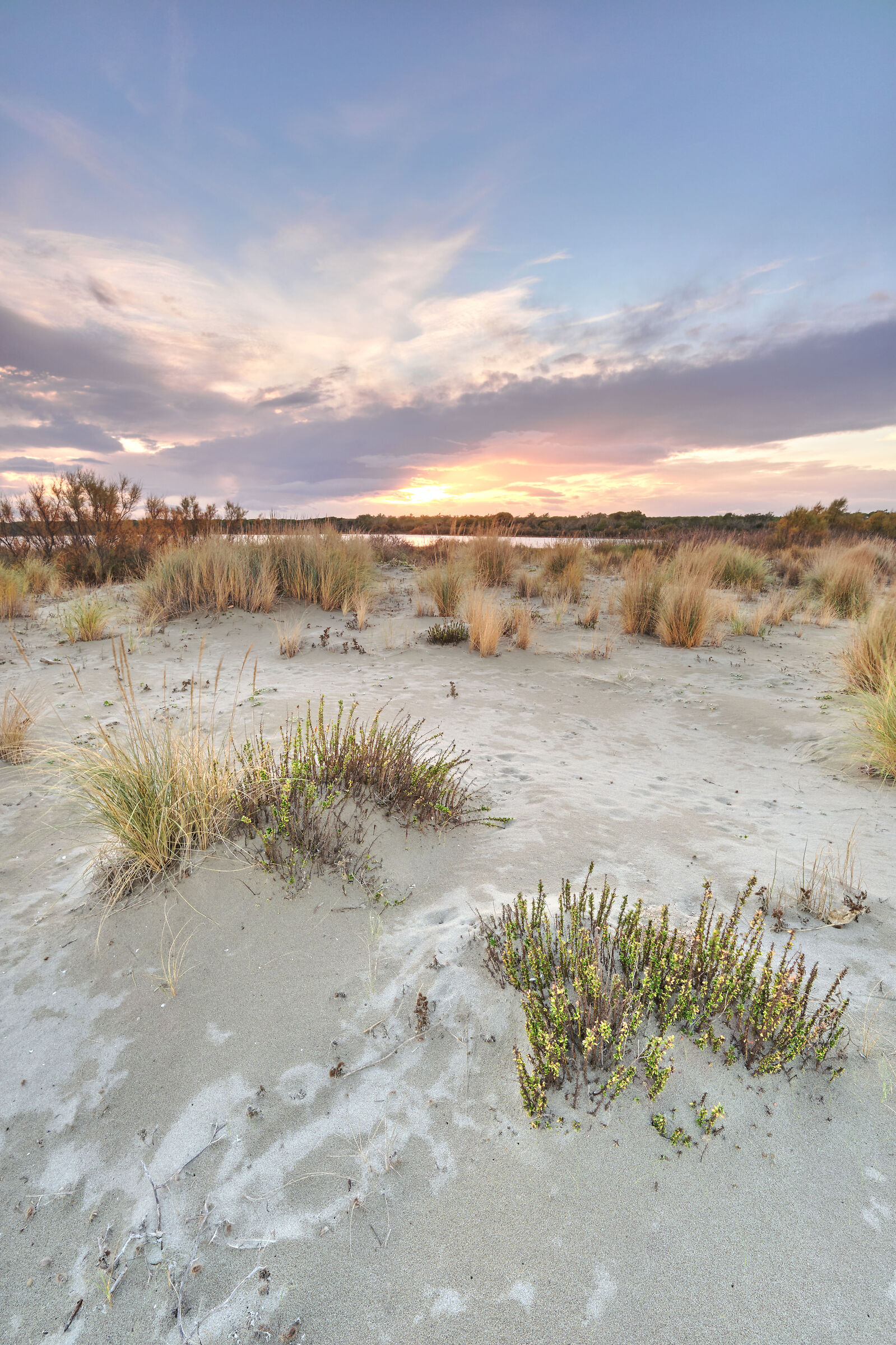 dune al tramonto
