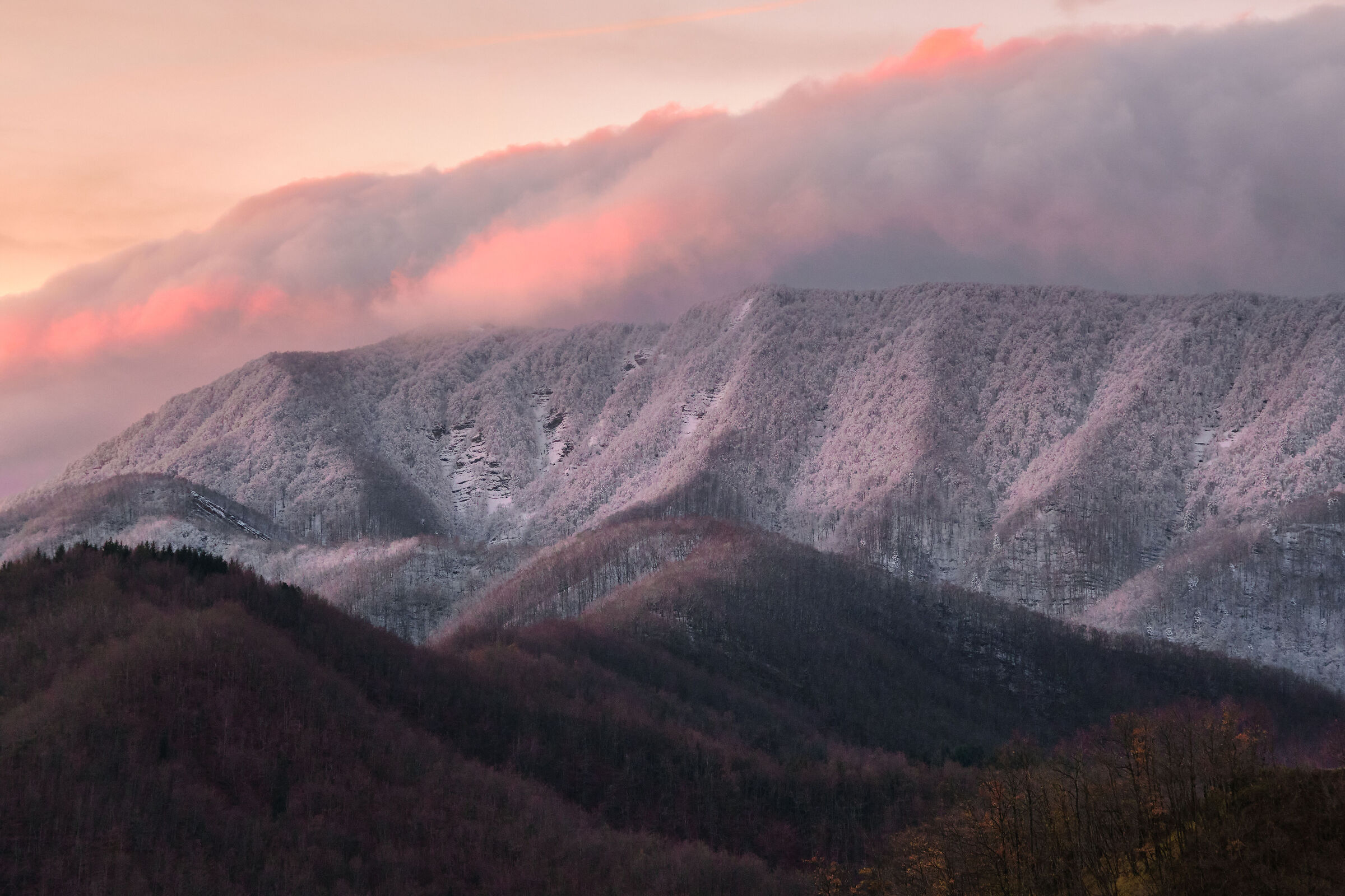 monti innevati all'alba