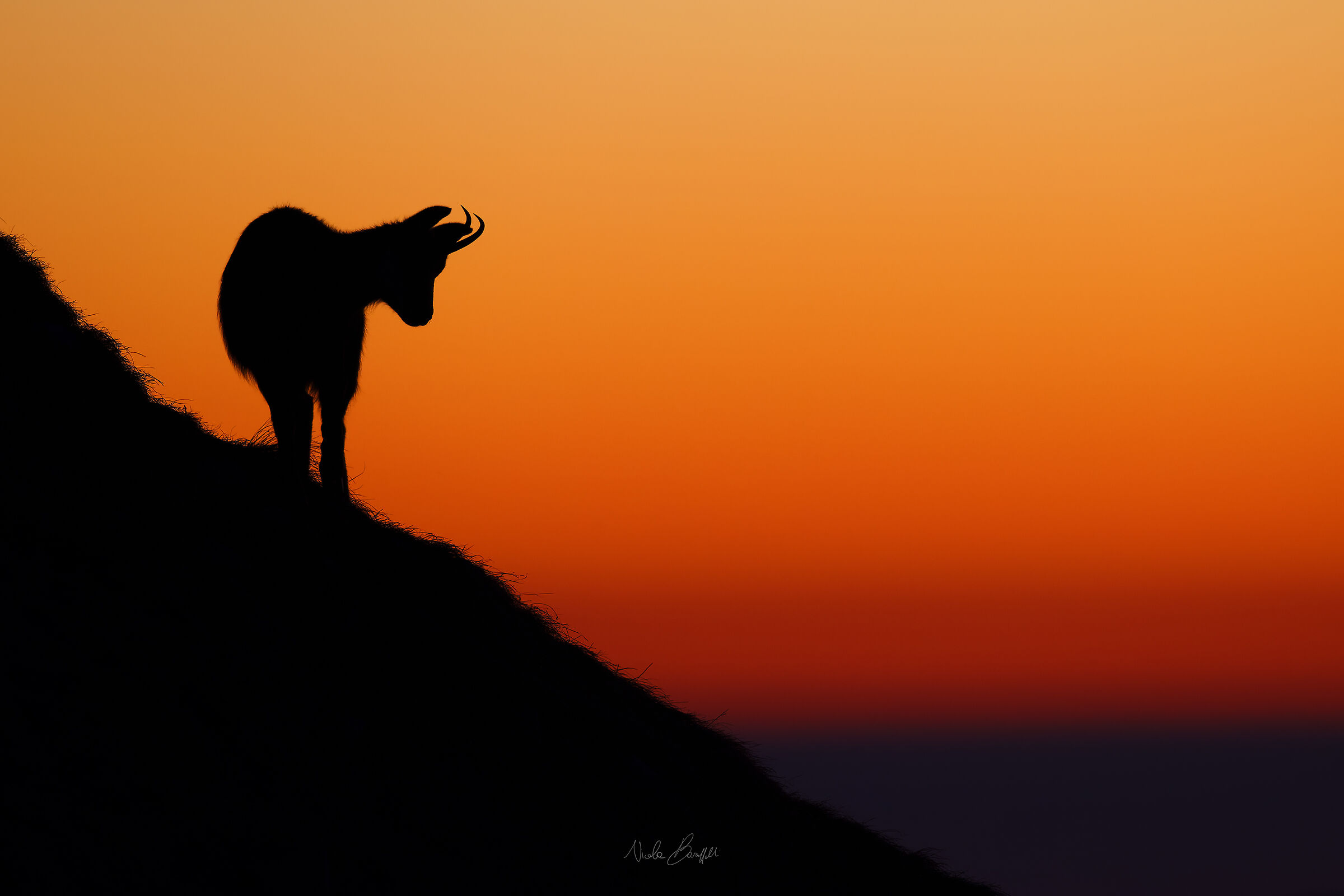 Aspettando l'alba