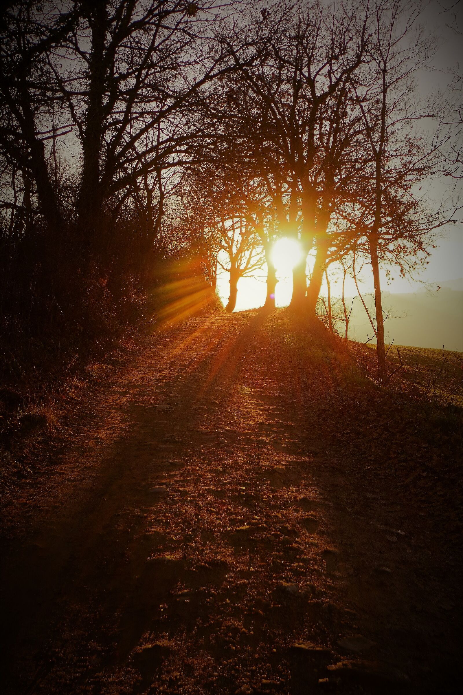 La via, la verità e la vita