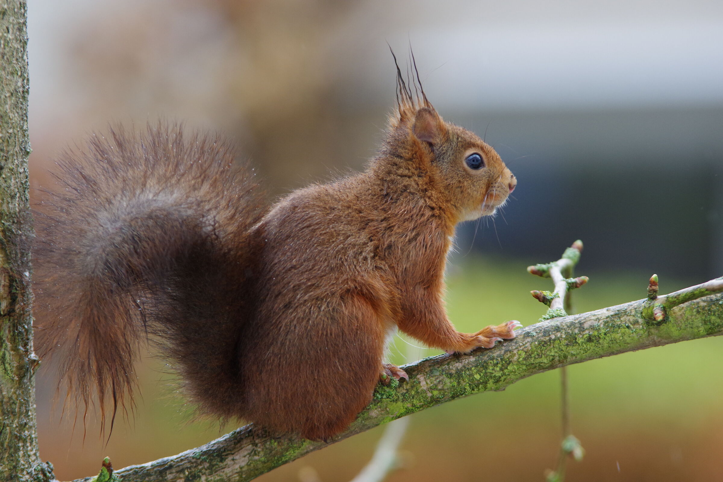 Looking out the window...