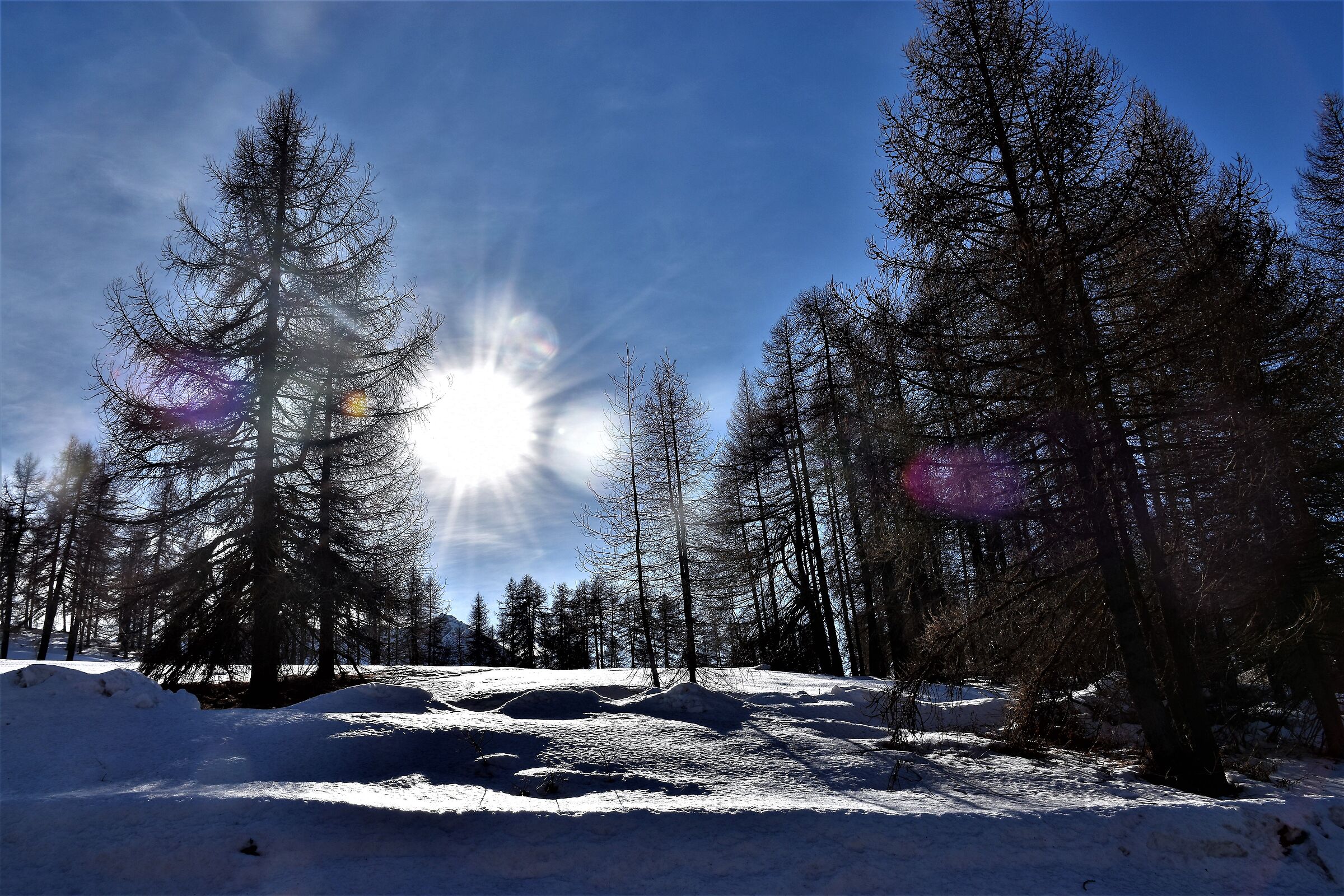 the first snow of the year Sestriere (TO)