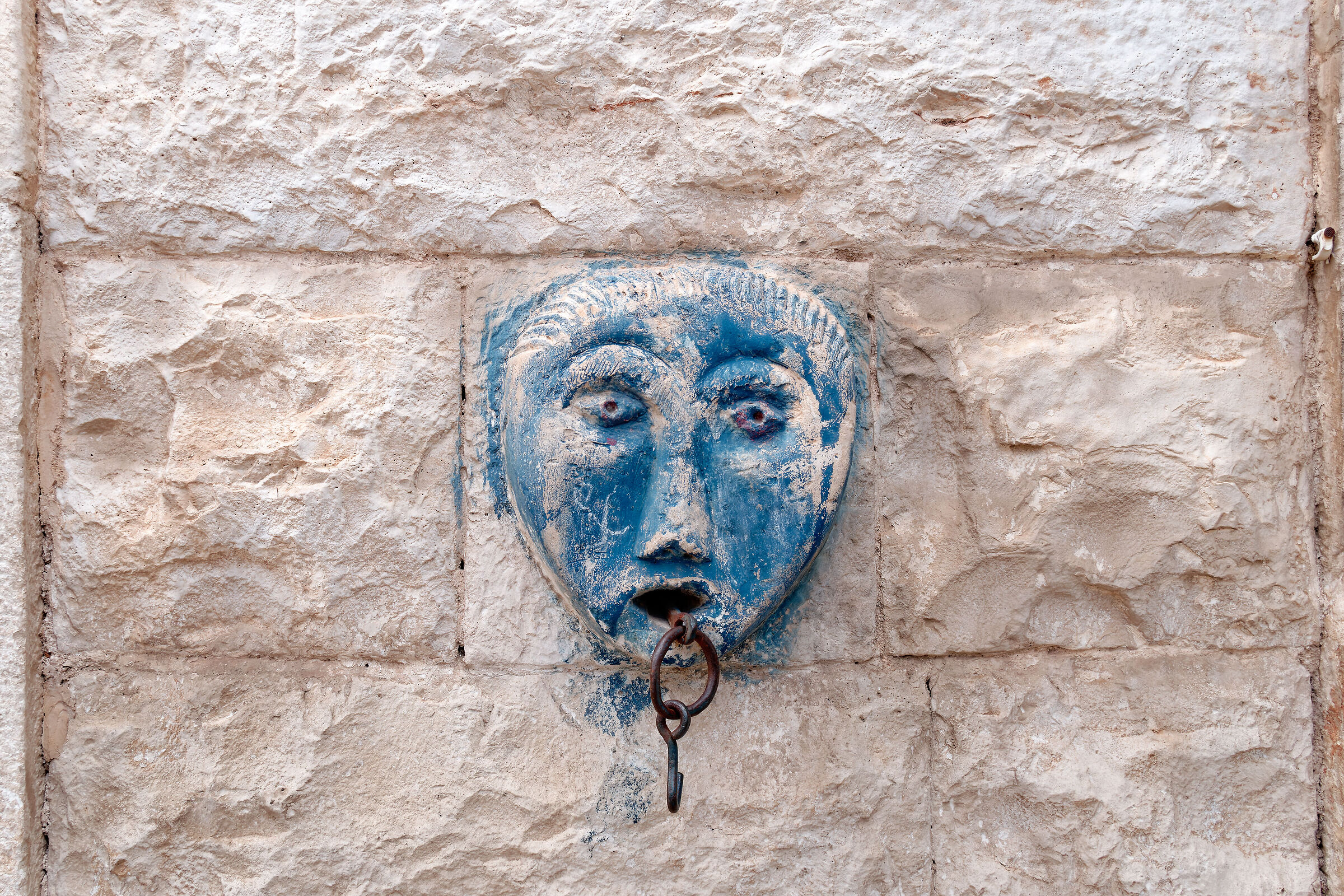 stupidità dell'ignoranza