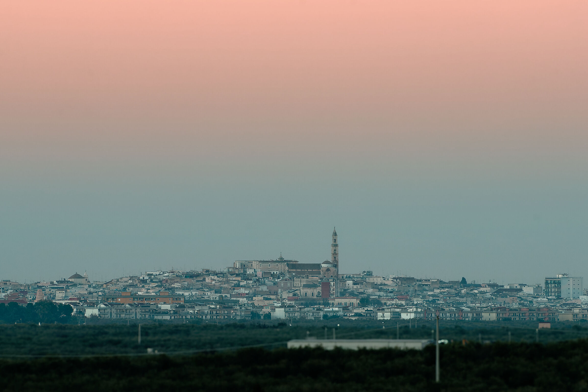 Palo del Colle....lo spione