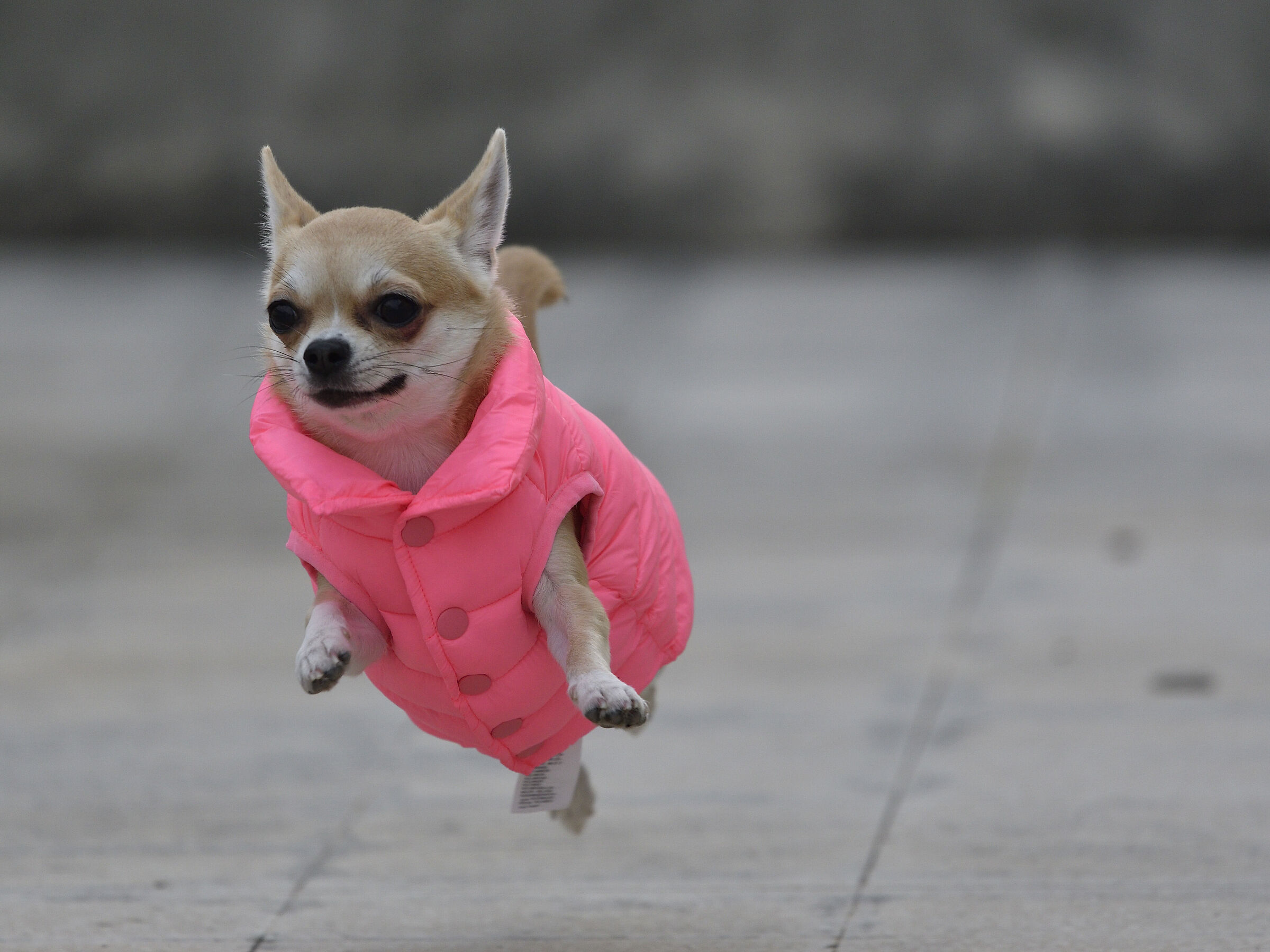 Due salti per scaldarmi