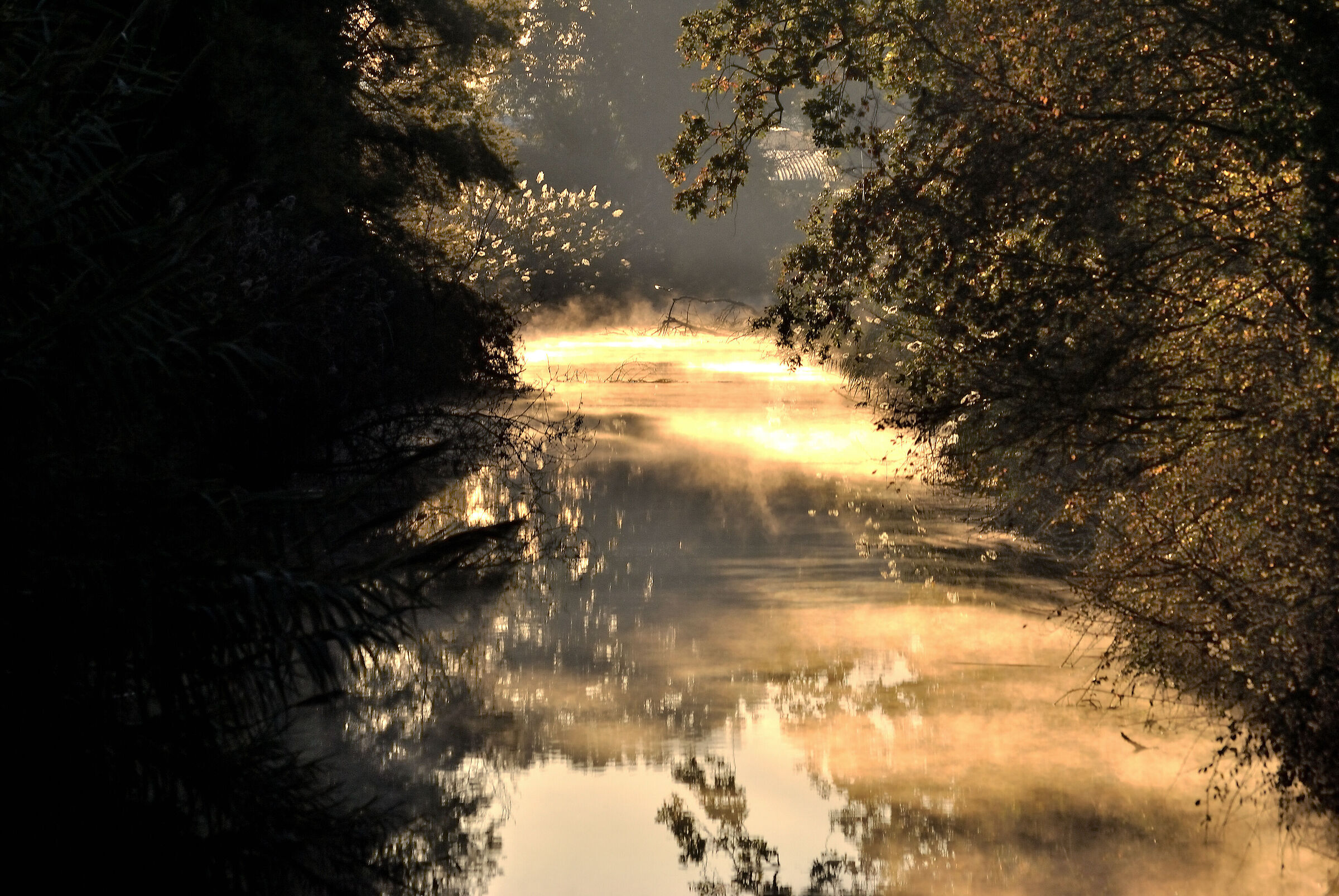 Sunrise over the water