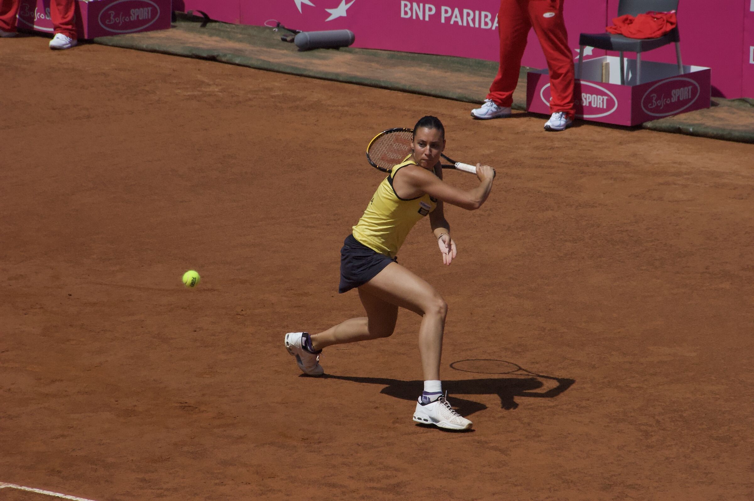 Flavia