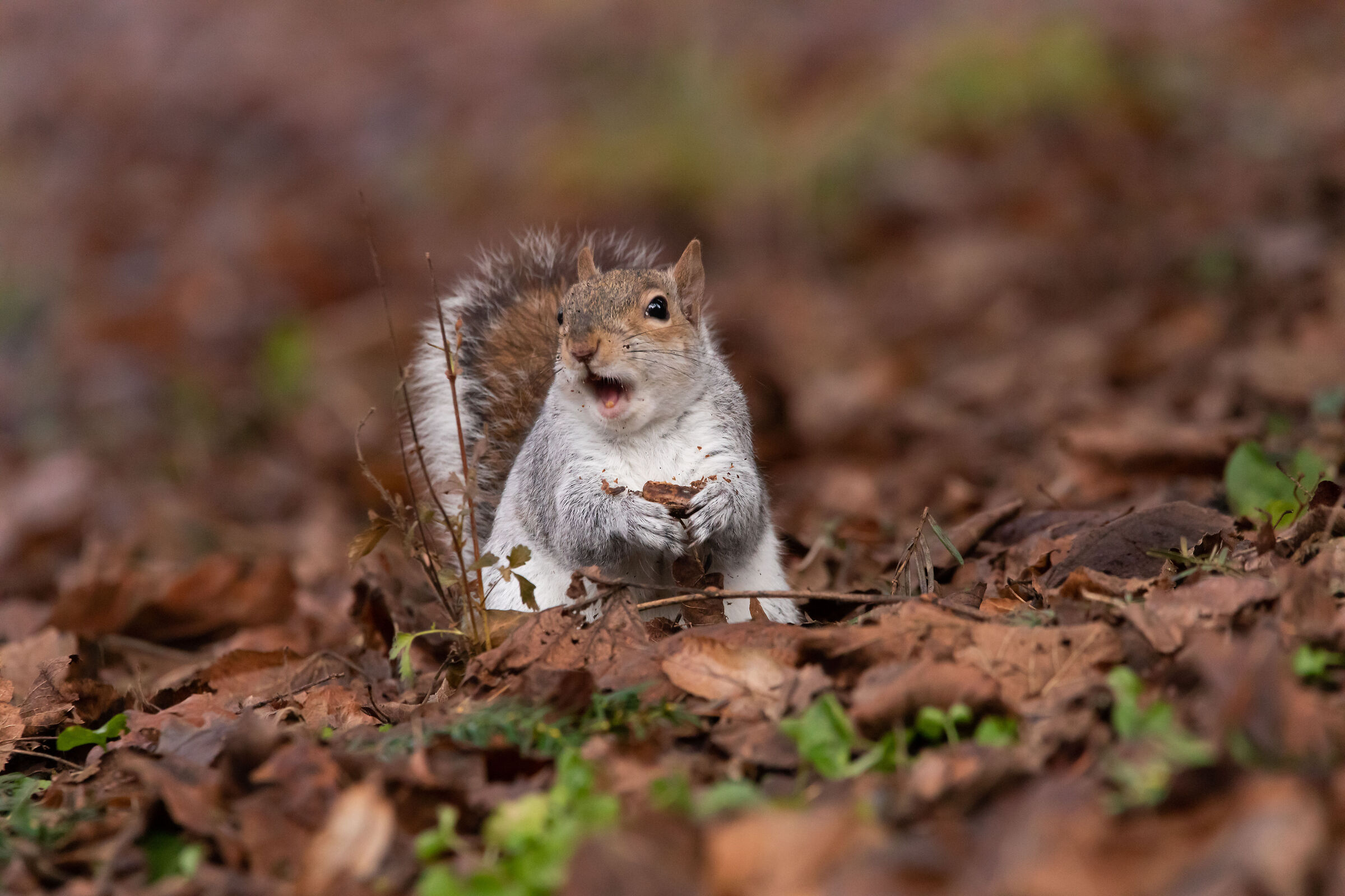 Ma che ti guardi!!!!!!!