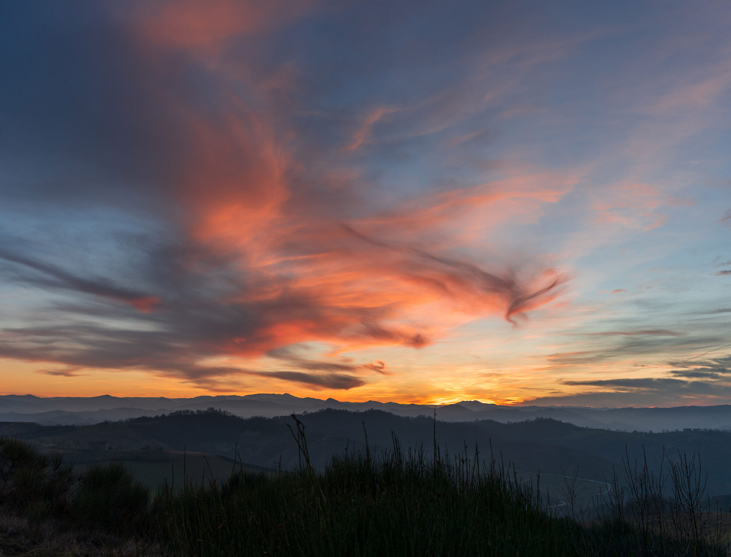 Mi sembra come fosse una Gallina