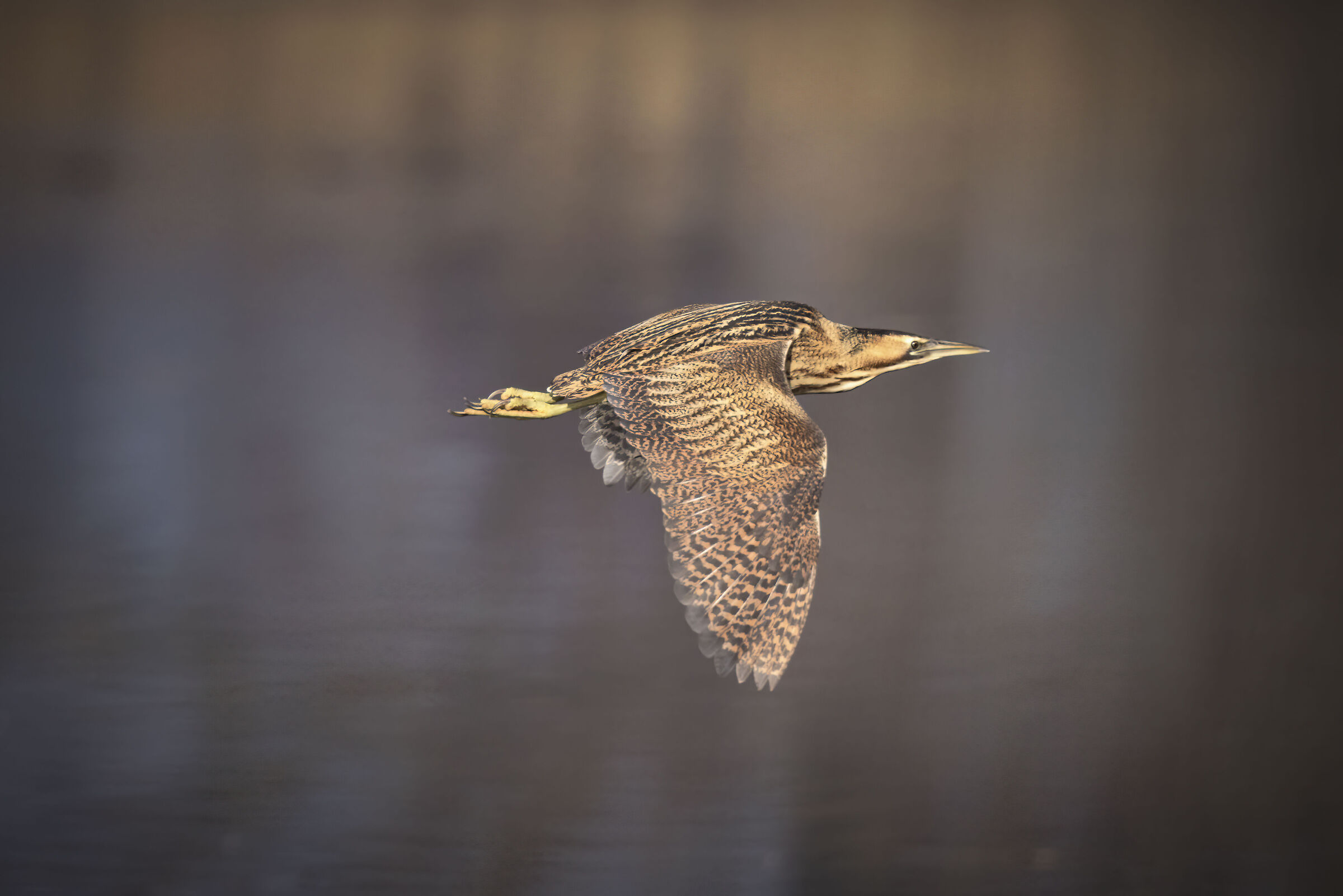 In flight