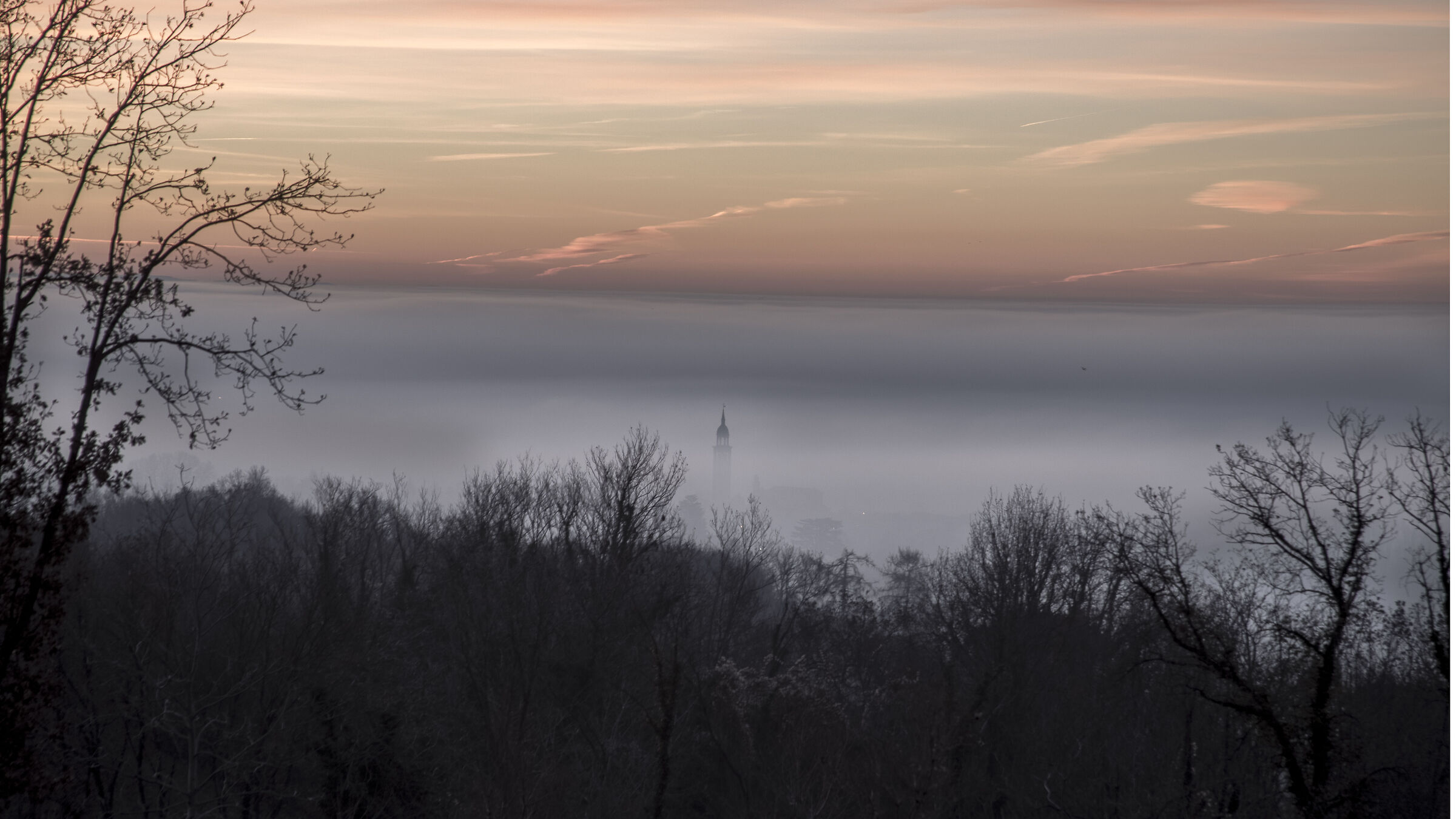 Foggy morning