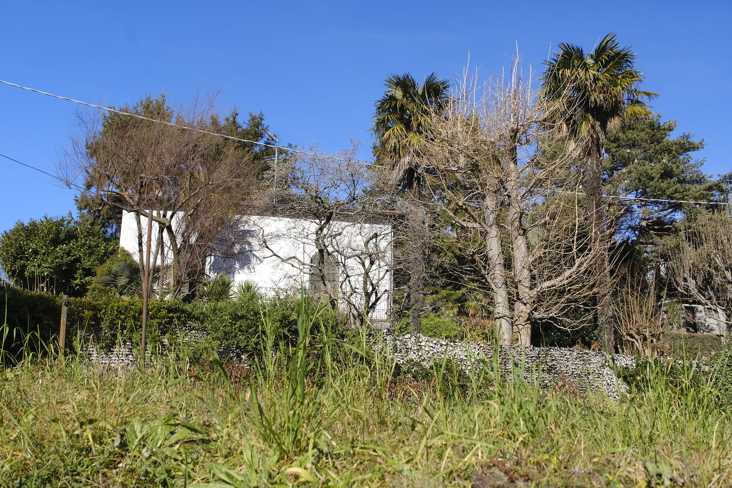 nei pressi di Olgiasca - lago di Como