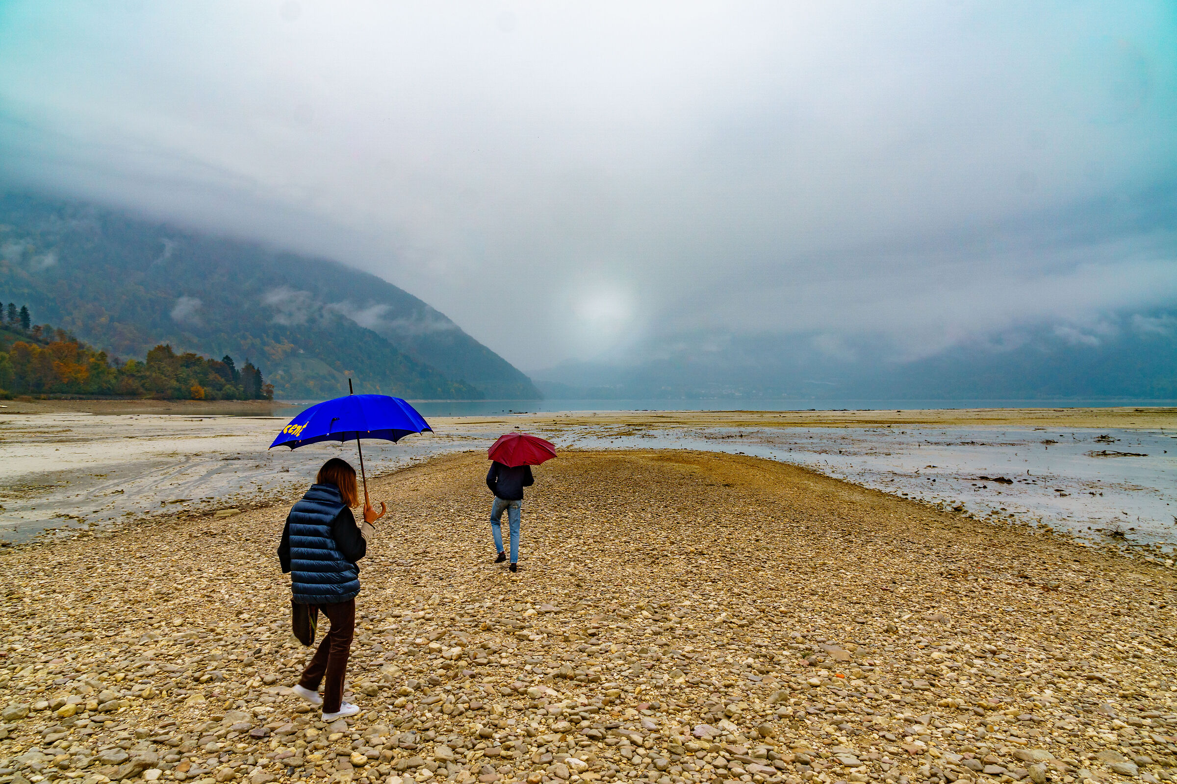 Umbrellas