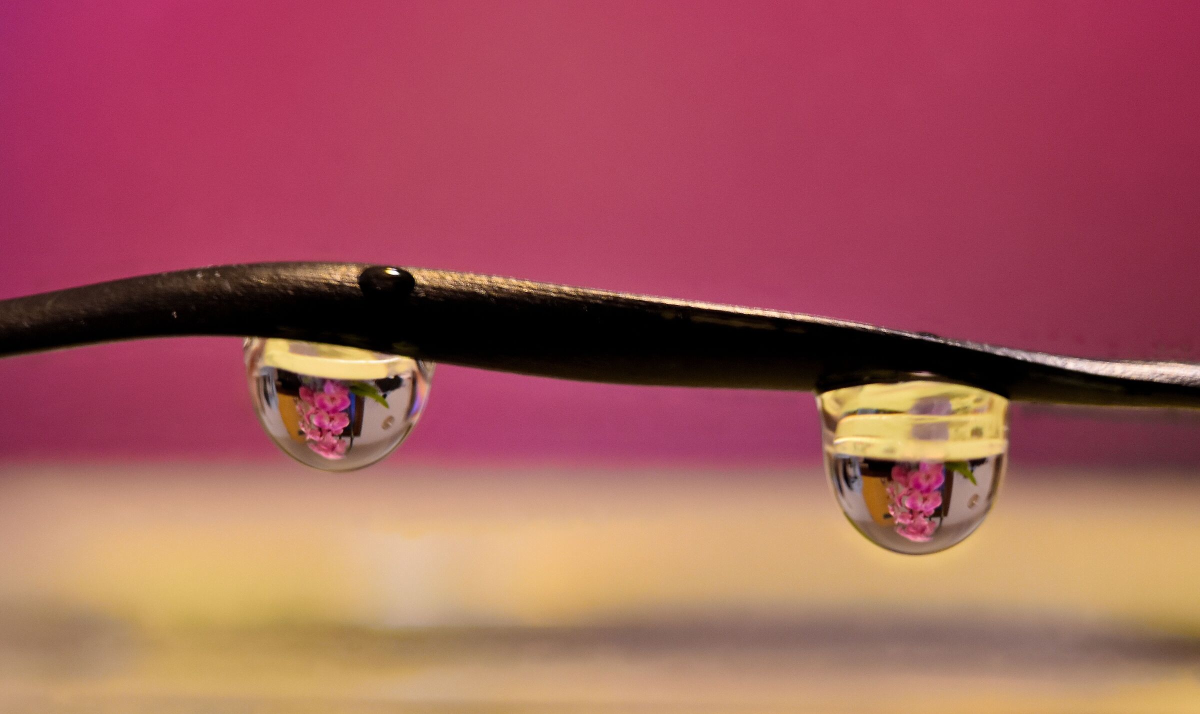 Gocce macro