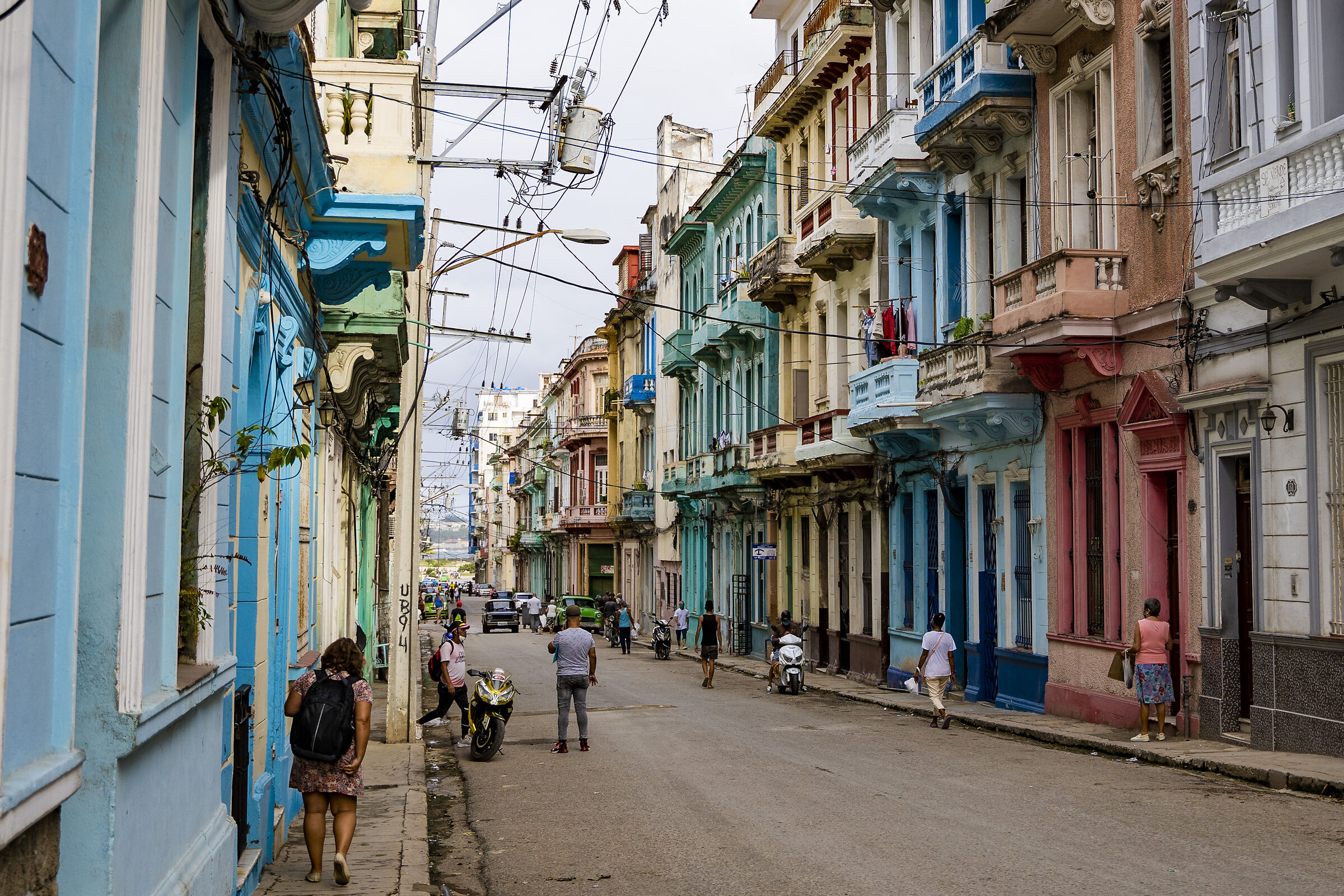 Vedado e colori