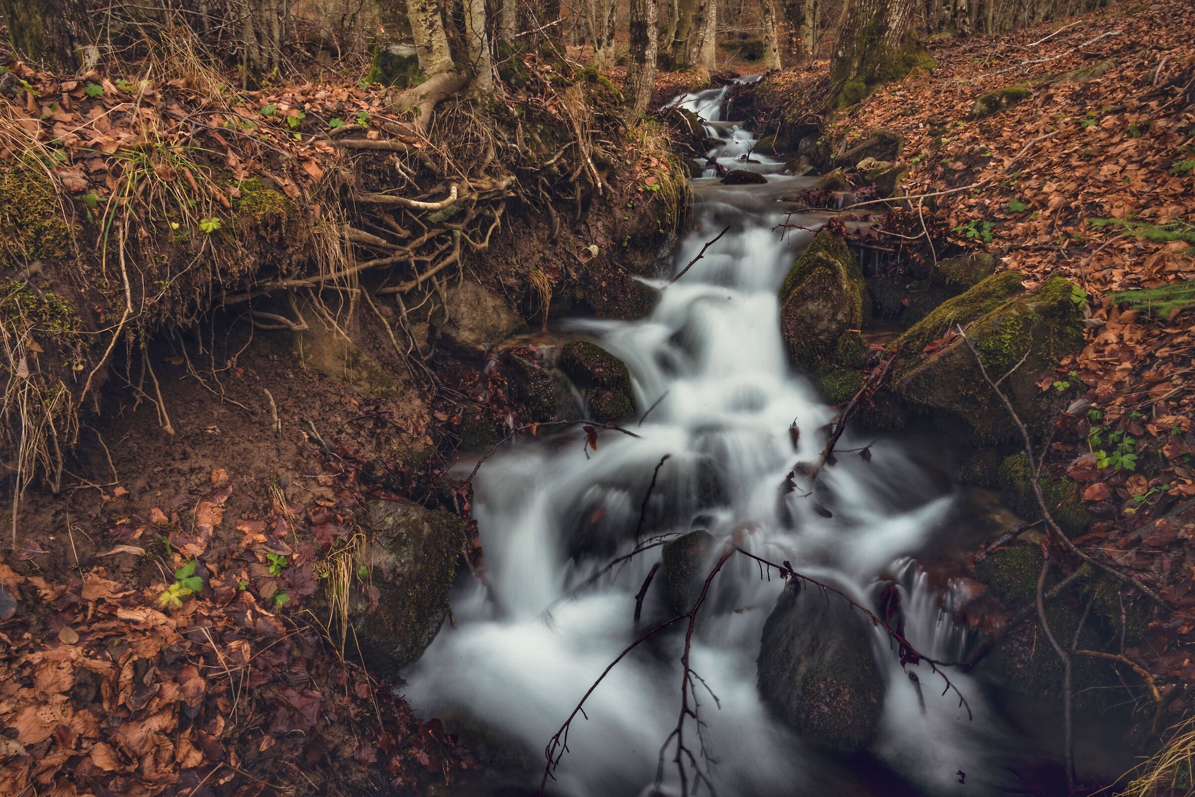 Waterfall1