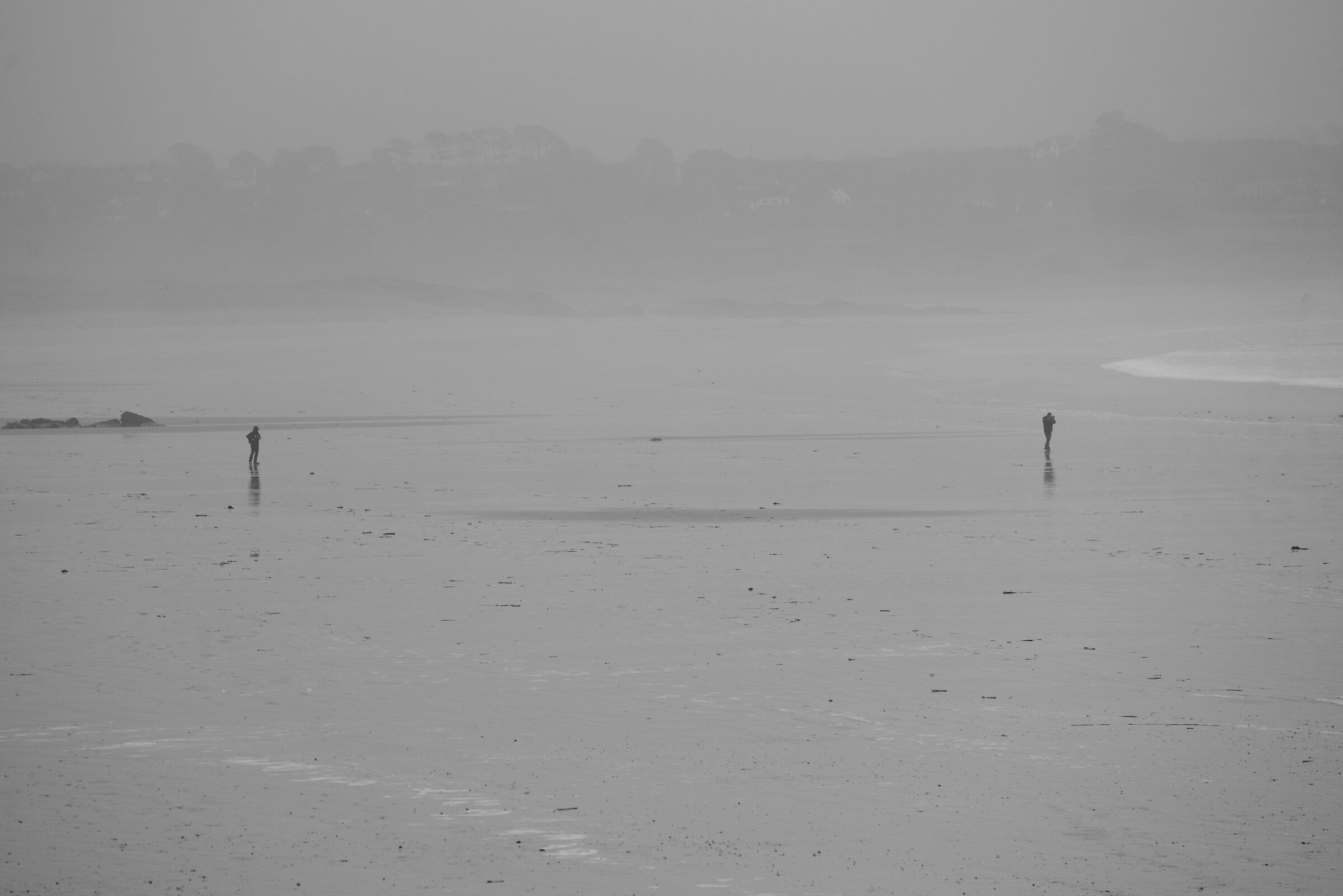 L'amore ai tempi del co.....