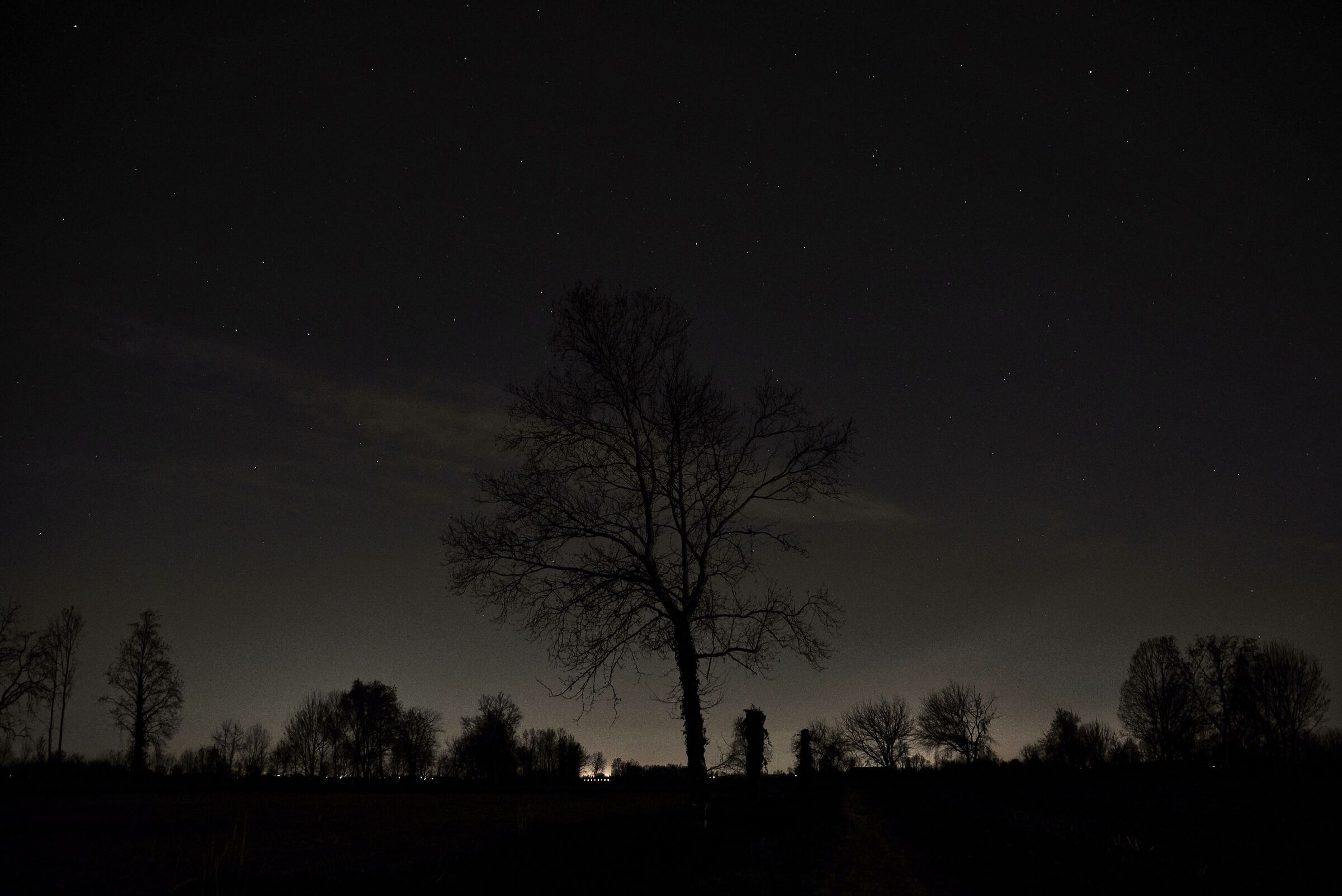 A Quite Night