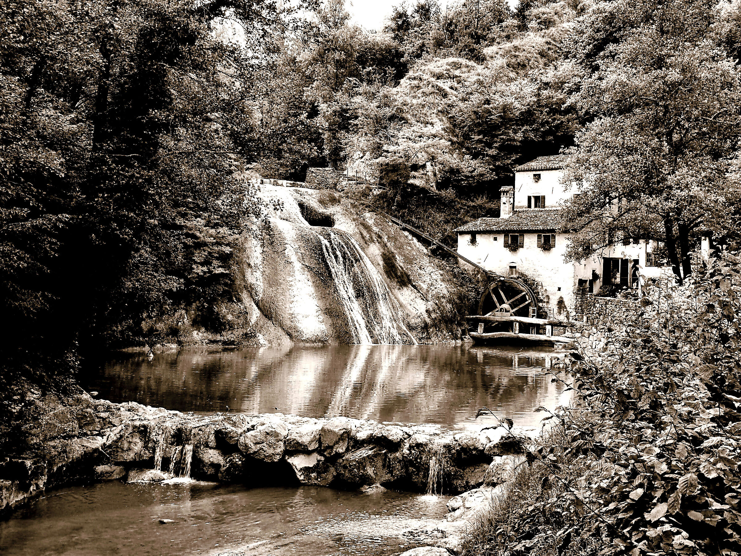 Un Re a Ronco Frontulo ( Refrontolo )