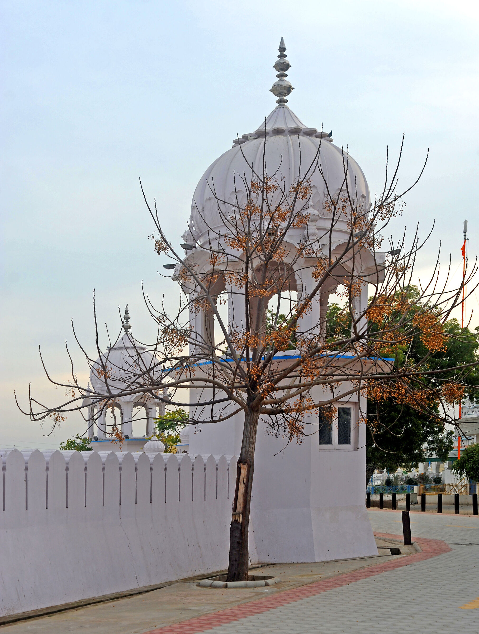 bathinda