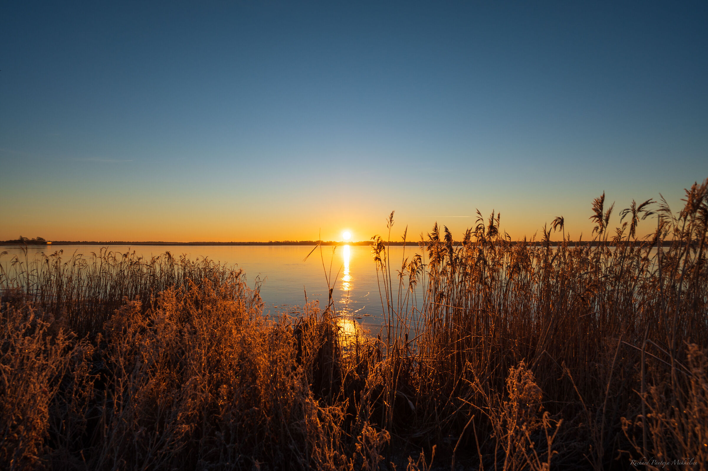 Sunrise- Lille vildmose