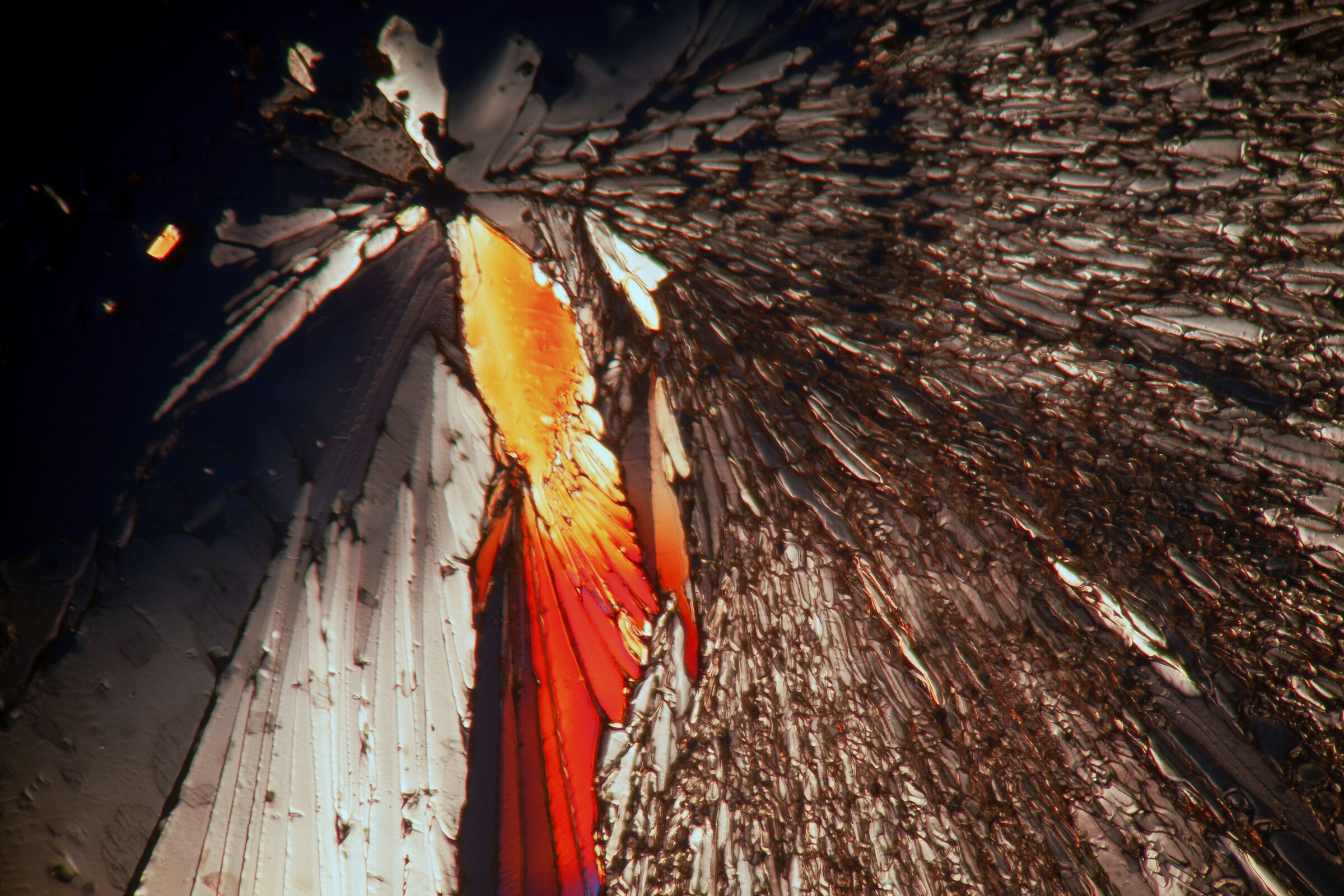 Sugar crystals in formation