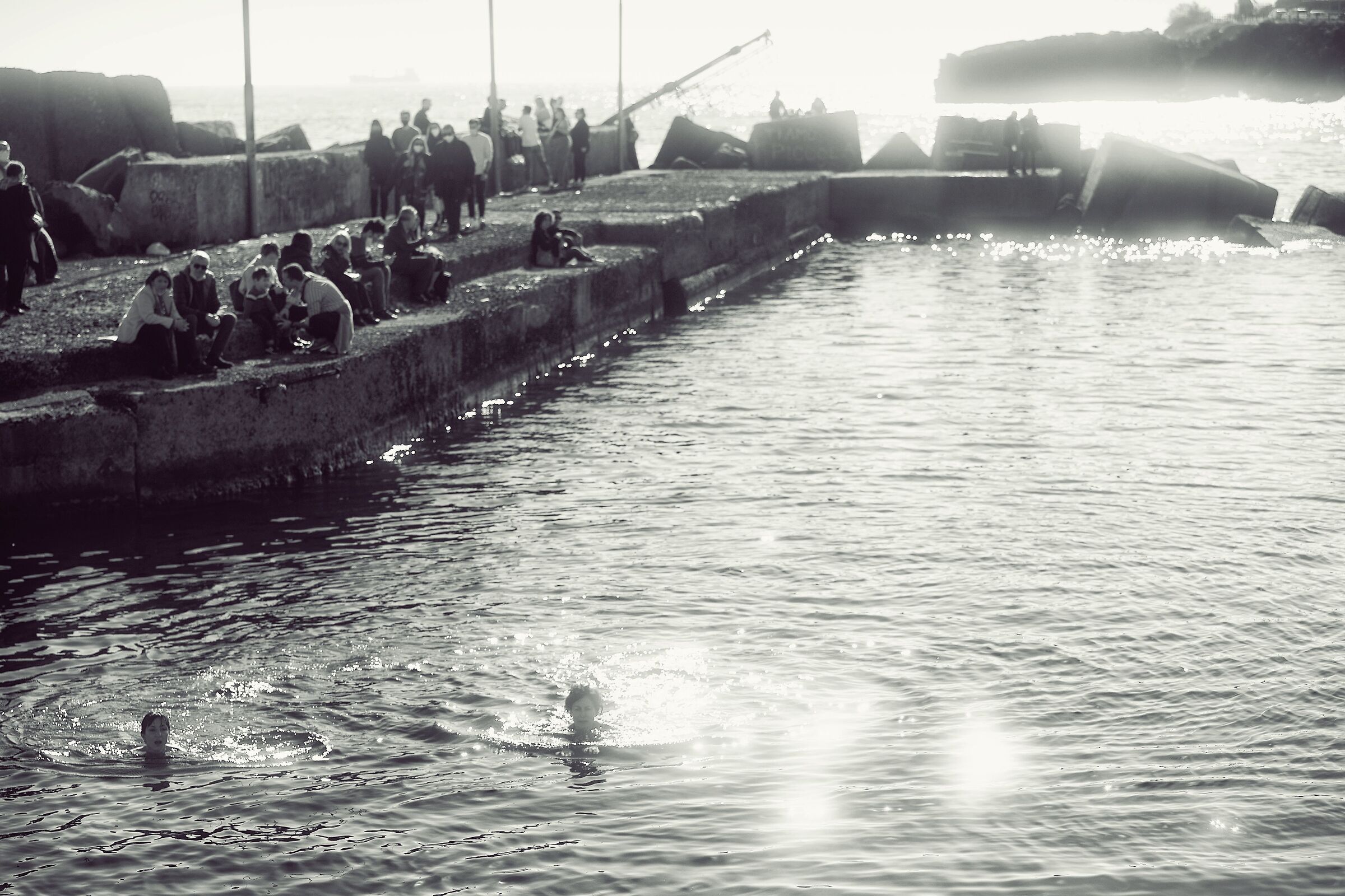 The great escape from winter