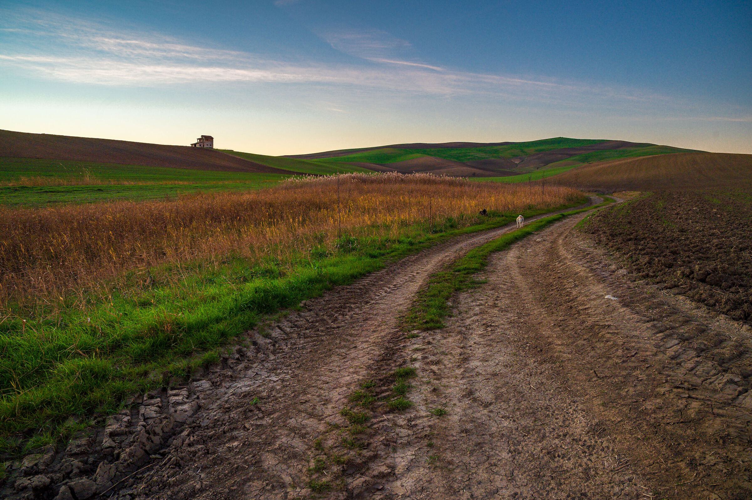 country trails